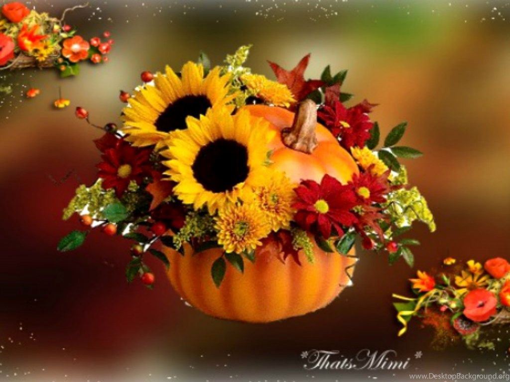 Fall Pictures With Pumpkins And Sunflowers Wallpapers