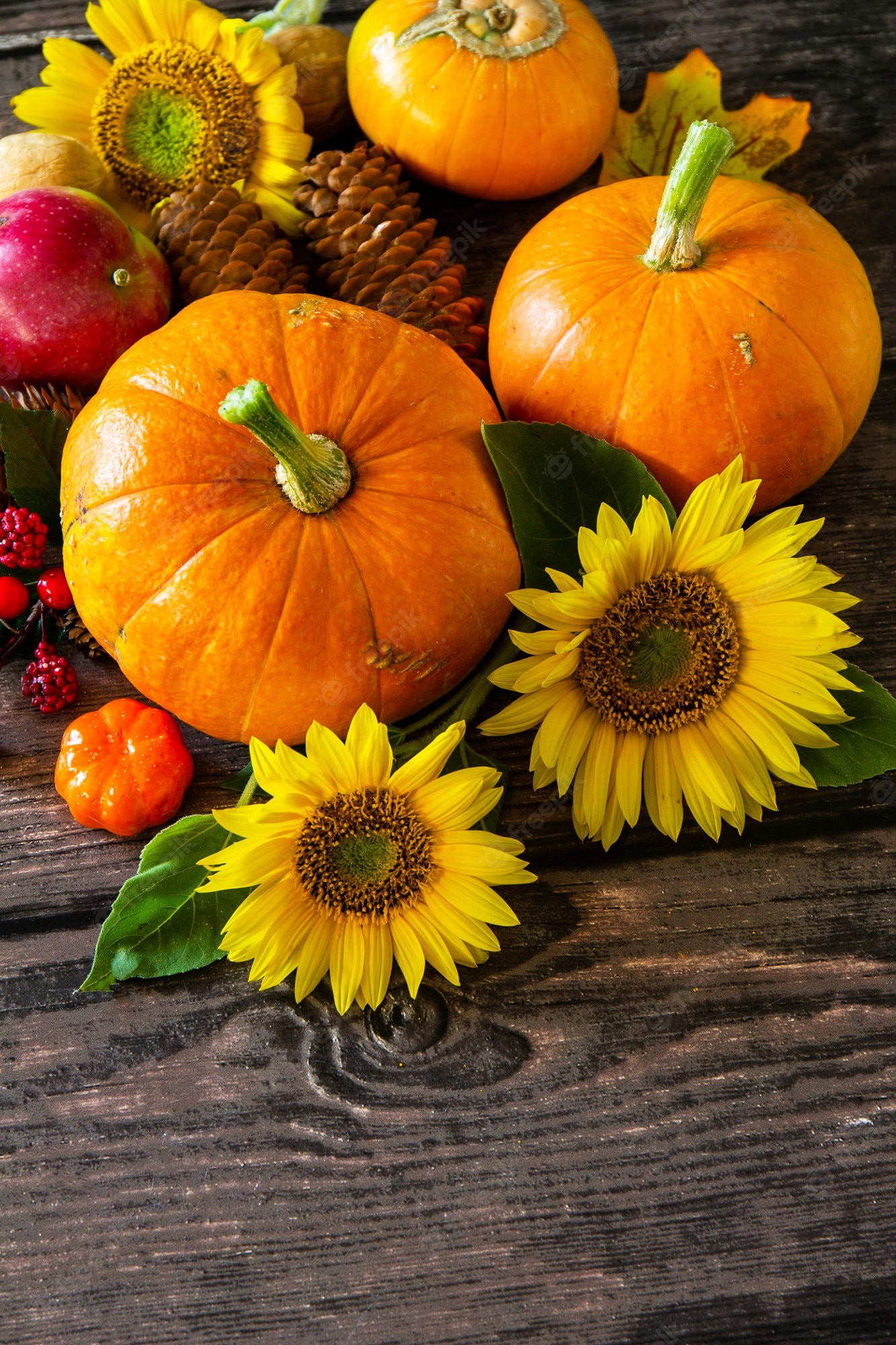 Fall Pictures With Pumpkins And Sunflowers Wallpapers