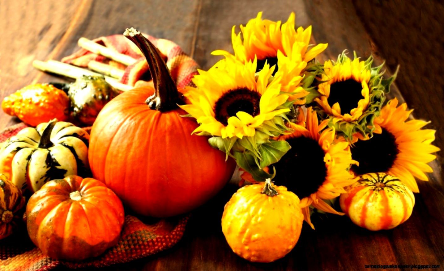 Fall Pictures With Pumpkins And Sunflowers Wallpapers