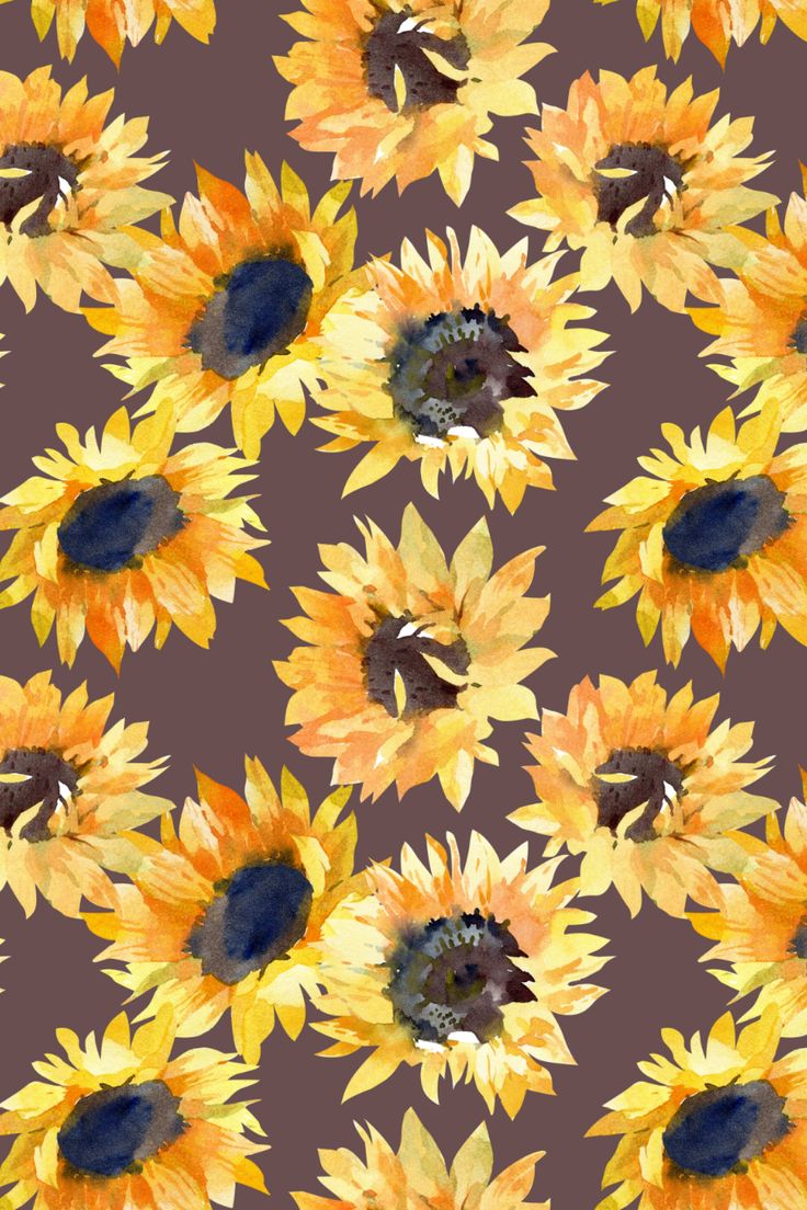 Fall Pictures With Pumpkins And Sunflowers Wallpapers