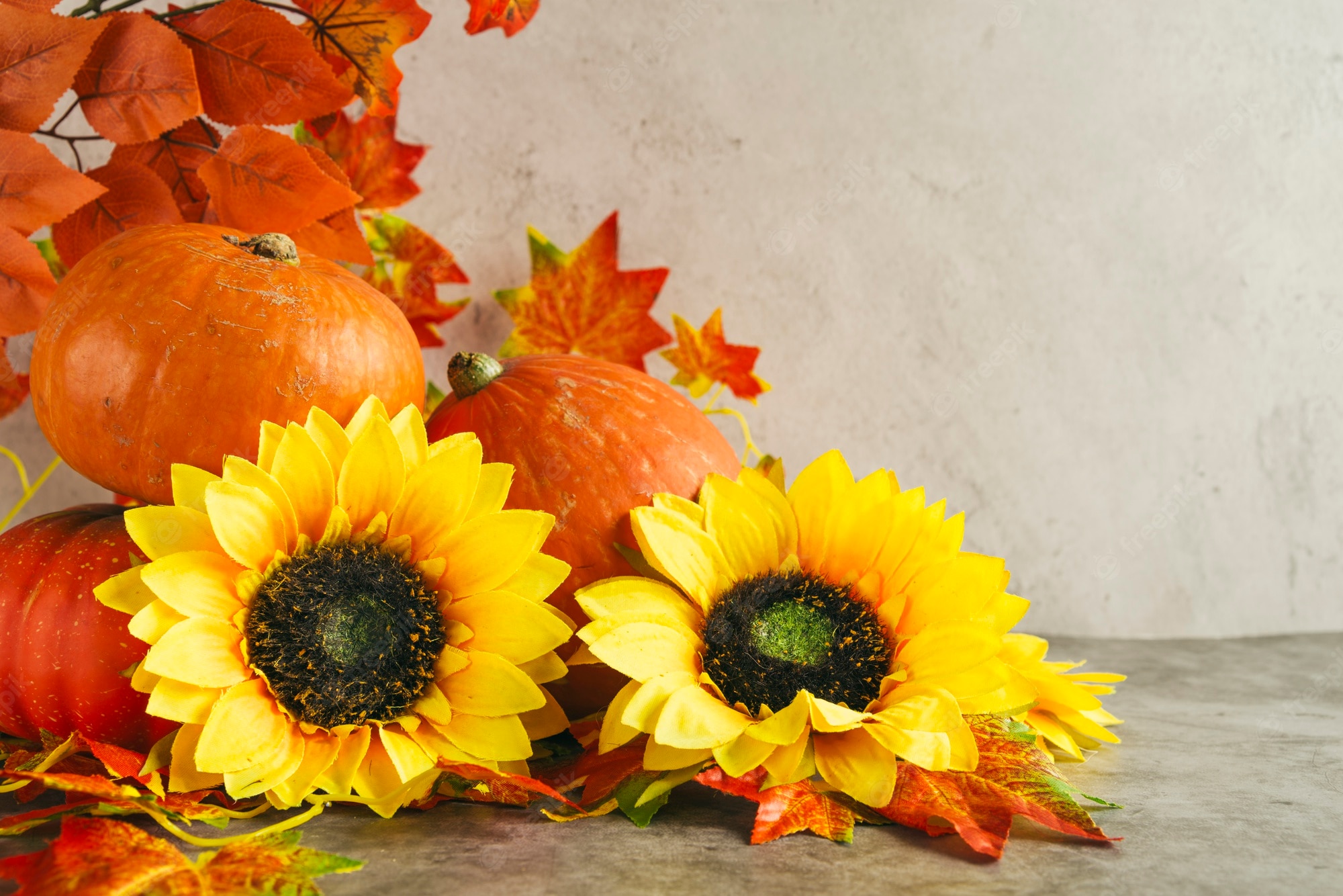 Fall Pictures With Pumpkins And Sunflowers Wallpapers