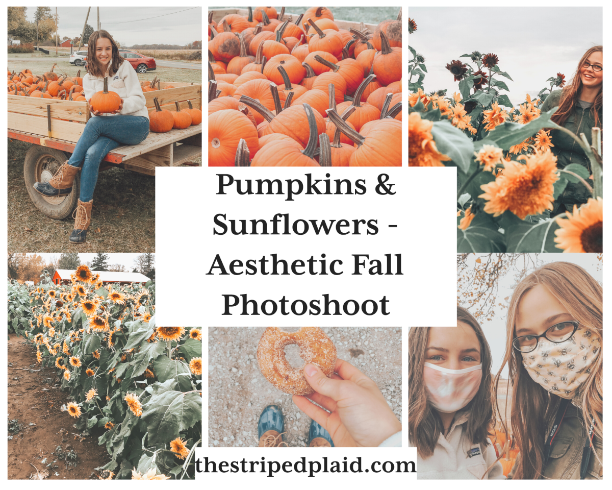 Fall Pictures With Pumpkins And Sunflowers Wallpapers