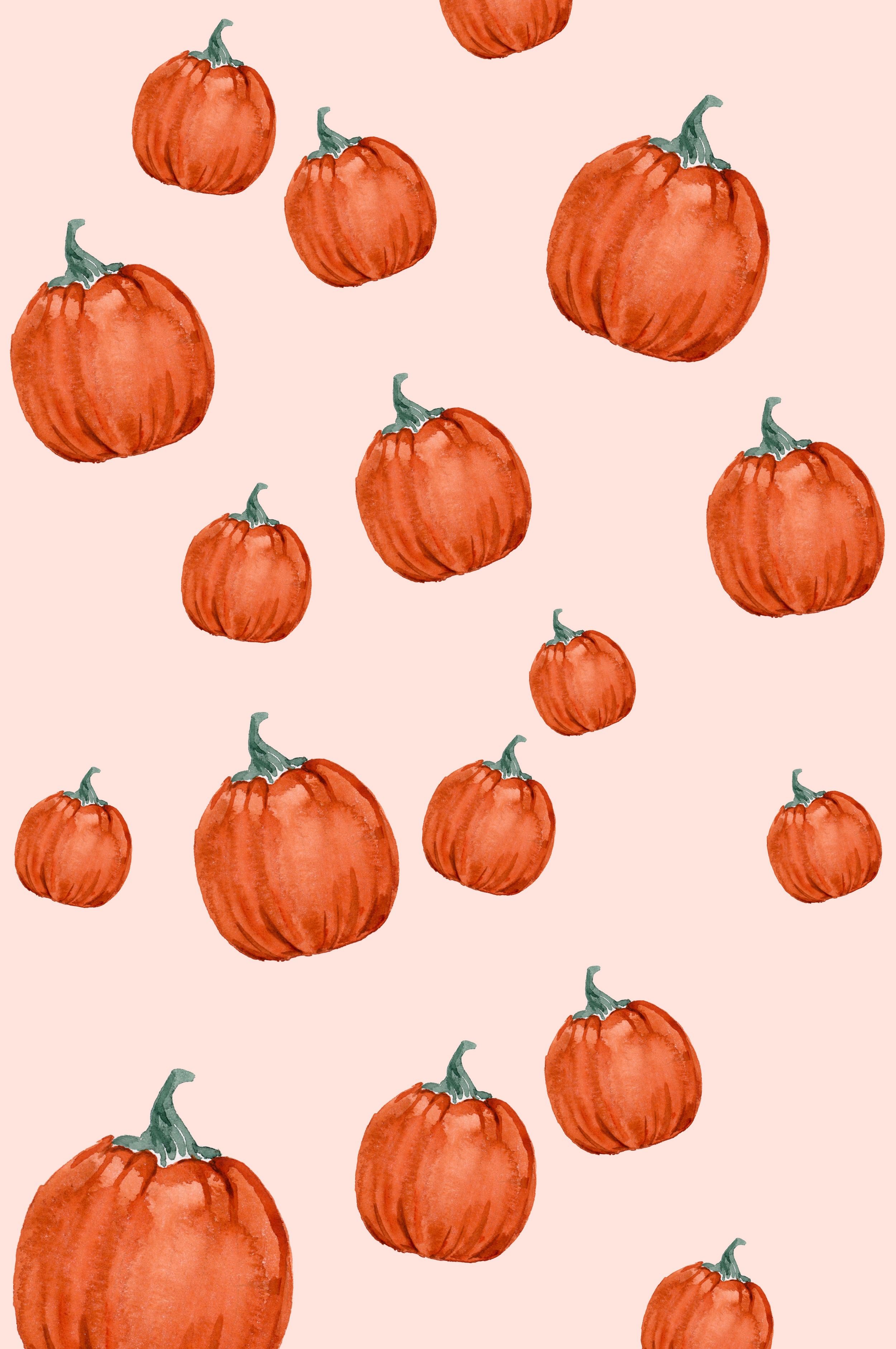 Fall Pumpkin Iphone Wallpapers