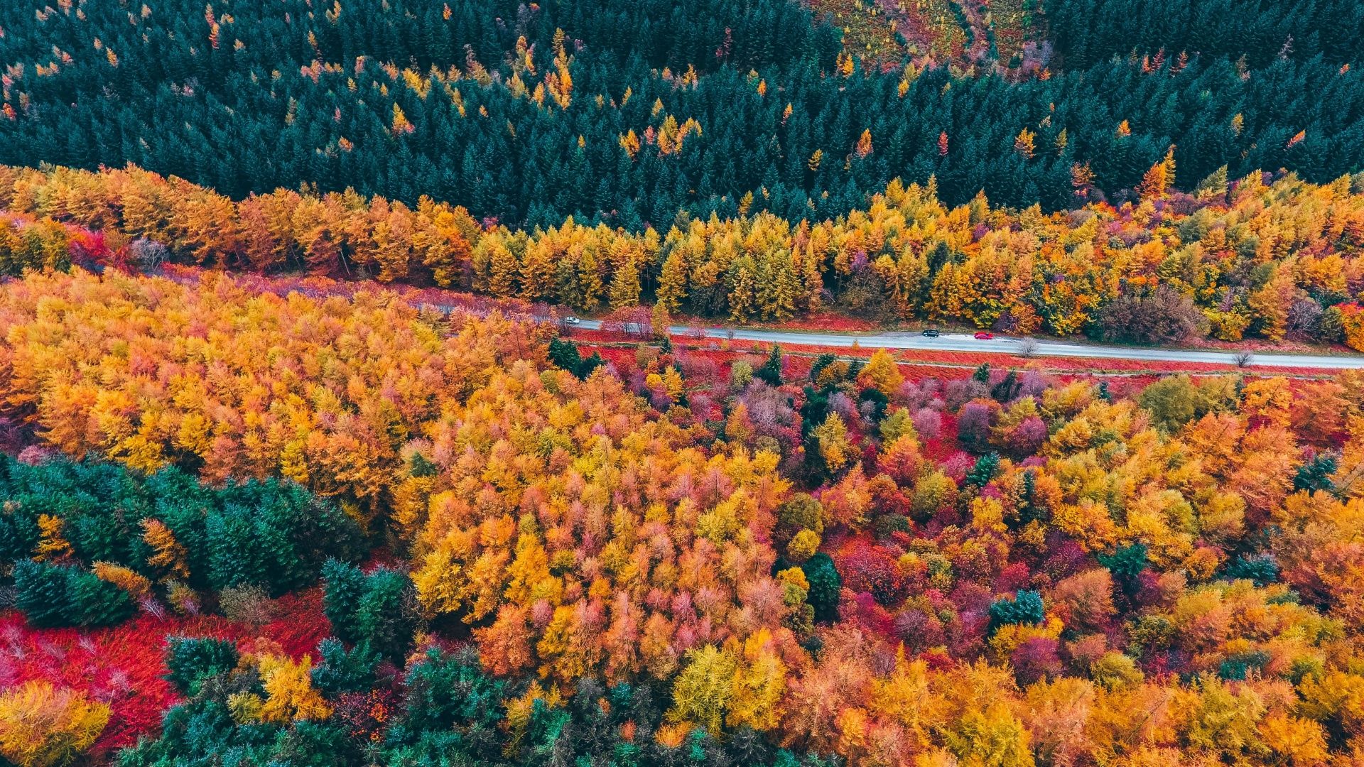 Fall For Mac Wallpapers