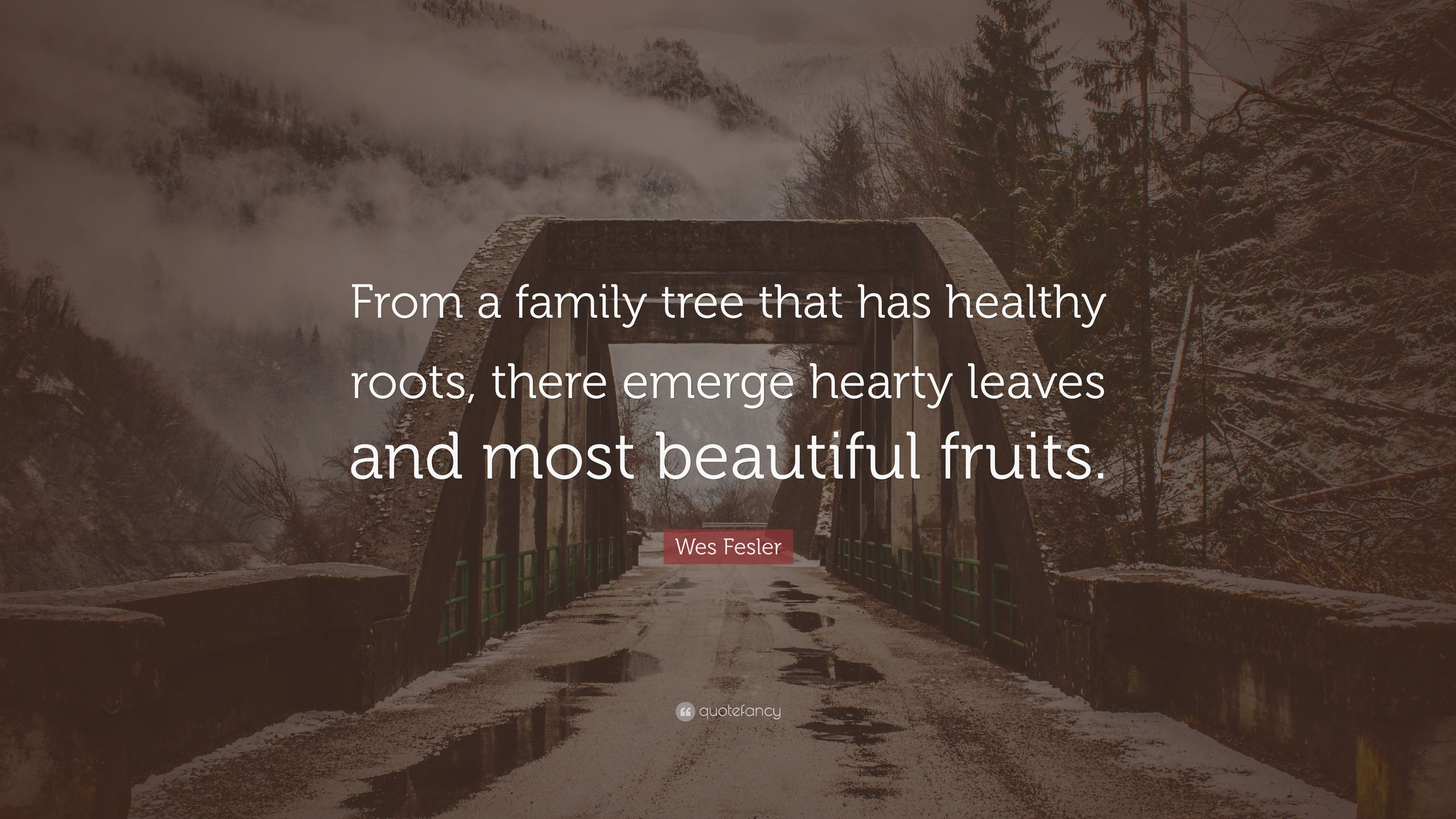 Family Tree Wallpapers