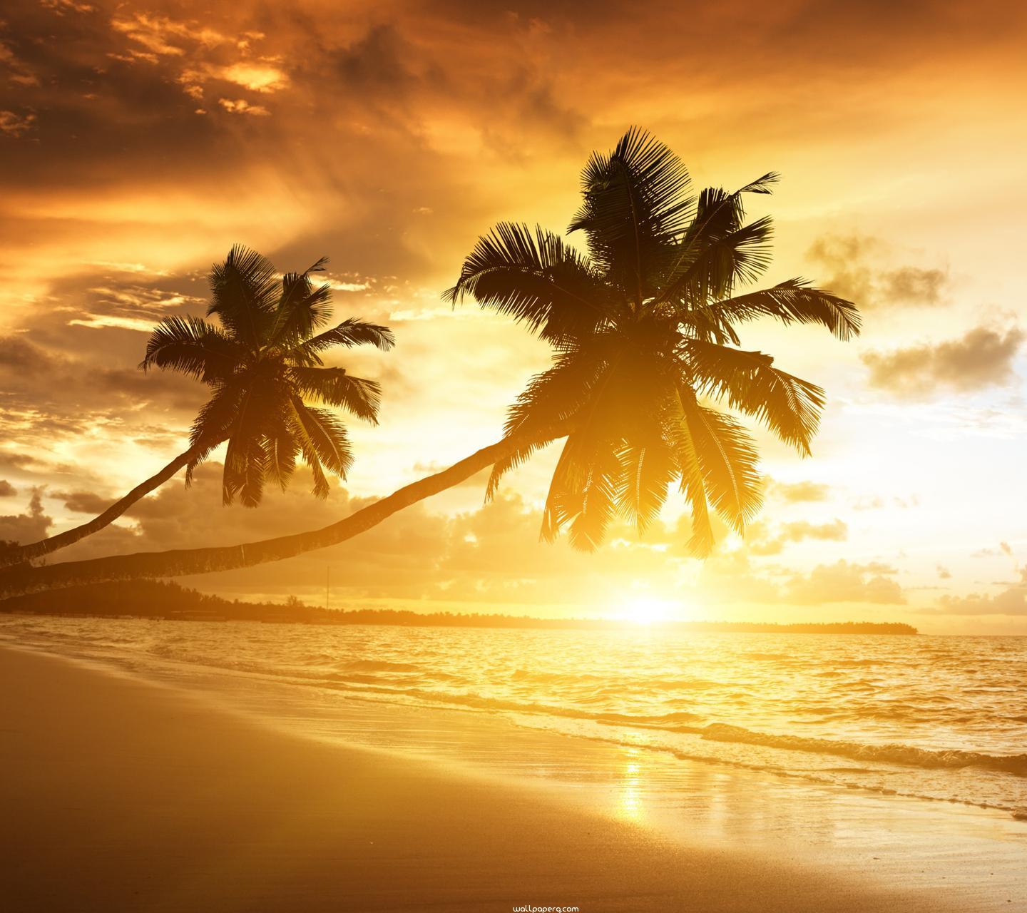 Fantastic Beach Wallpapers