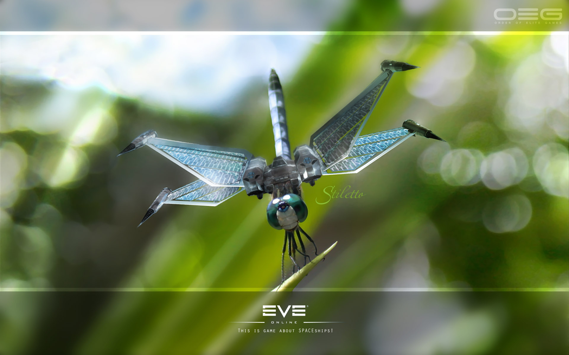 Fantasy Dragonfly Wallpapers