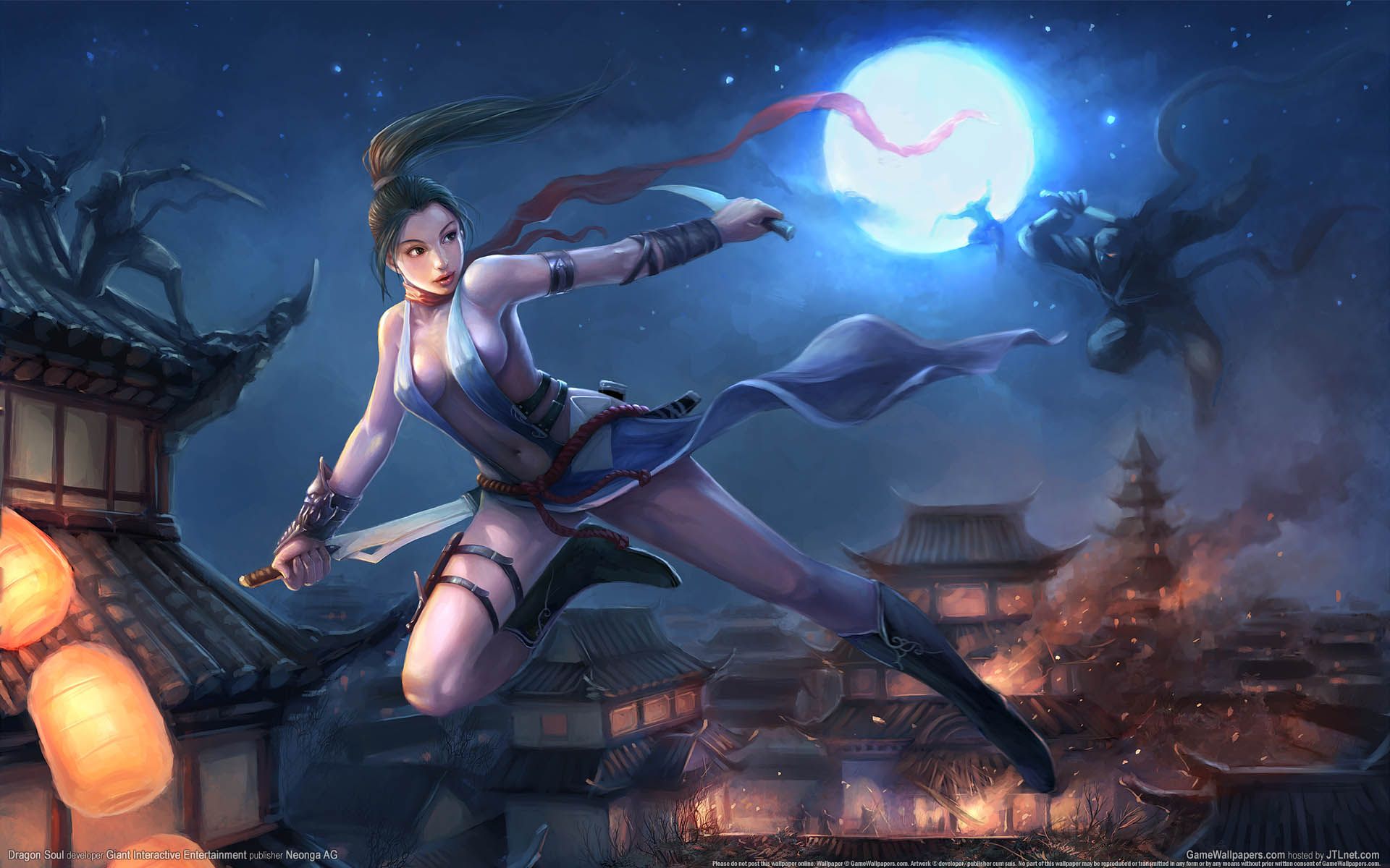 Fantasy Ninja Girl Wallpapers