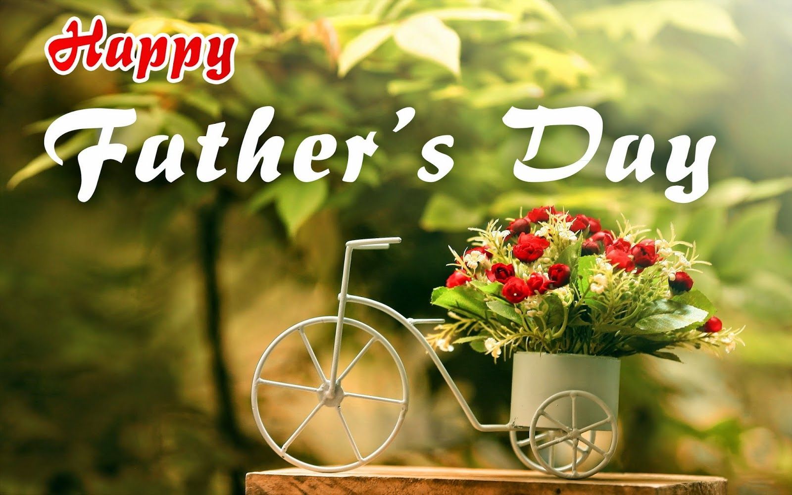 Fathers Day Images Download Wallpapers