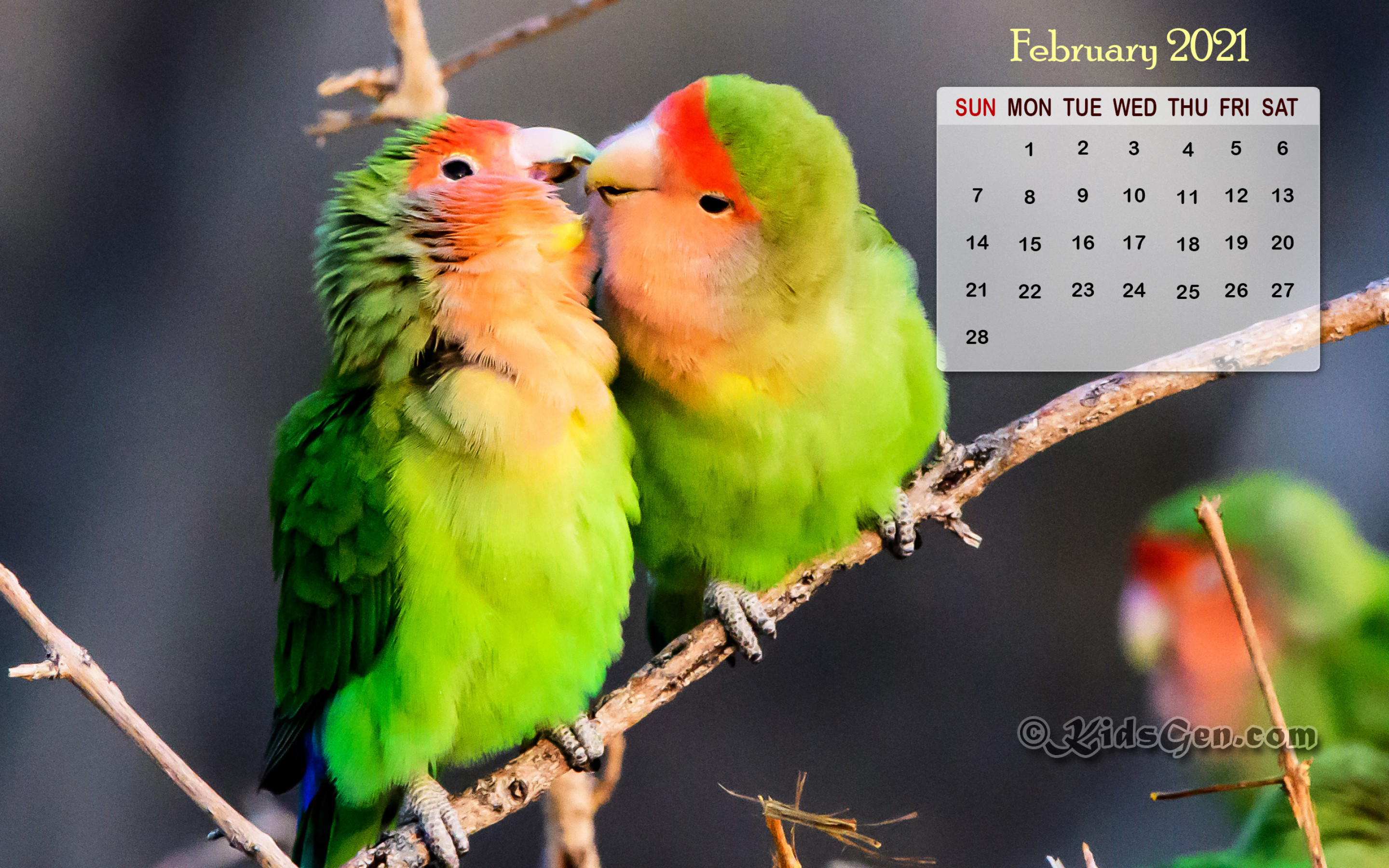 February 2021 Calendar Desktop Wallpapers