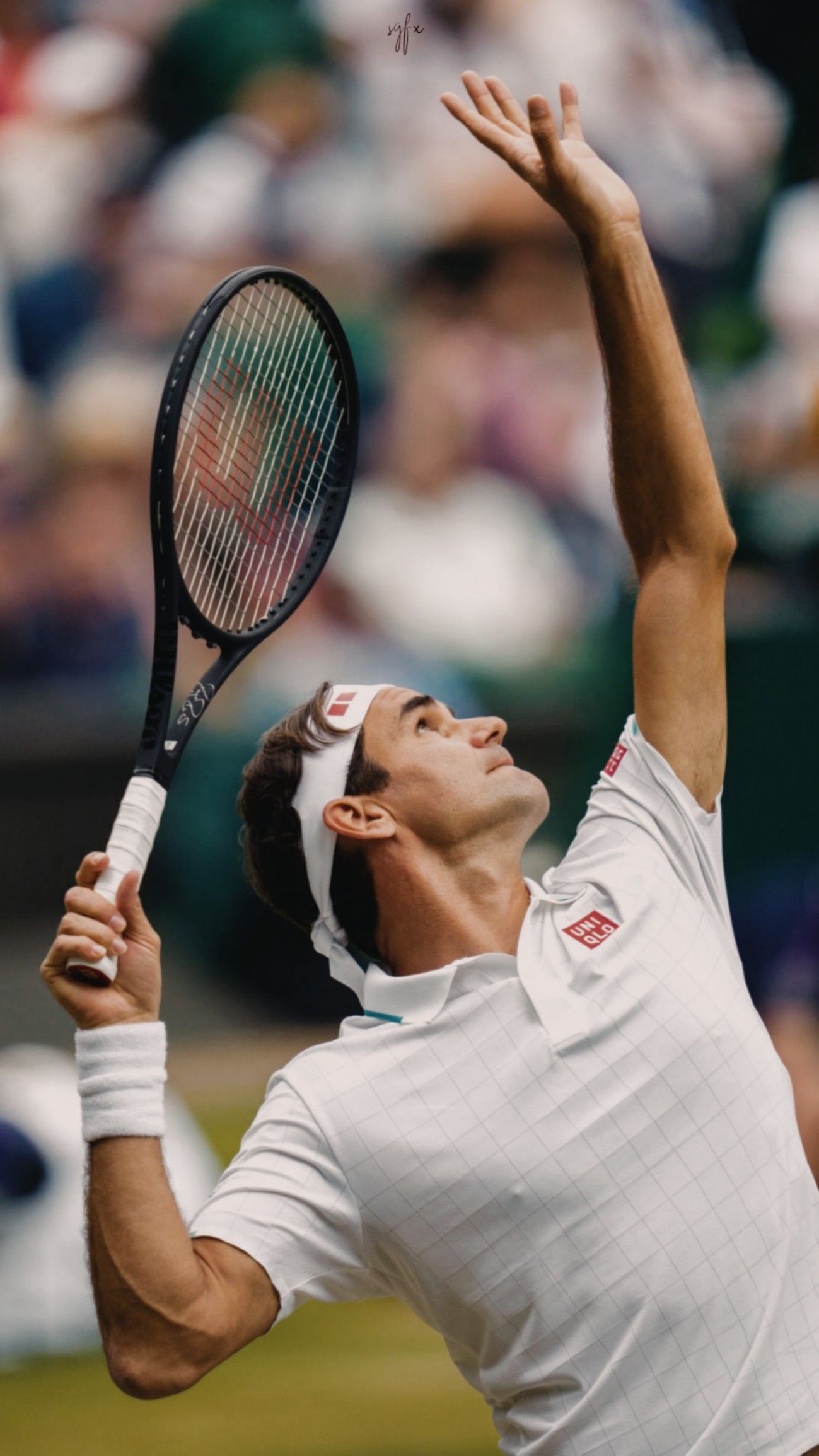 Federer Wallpapers