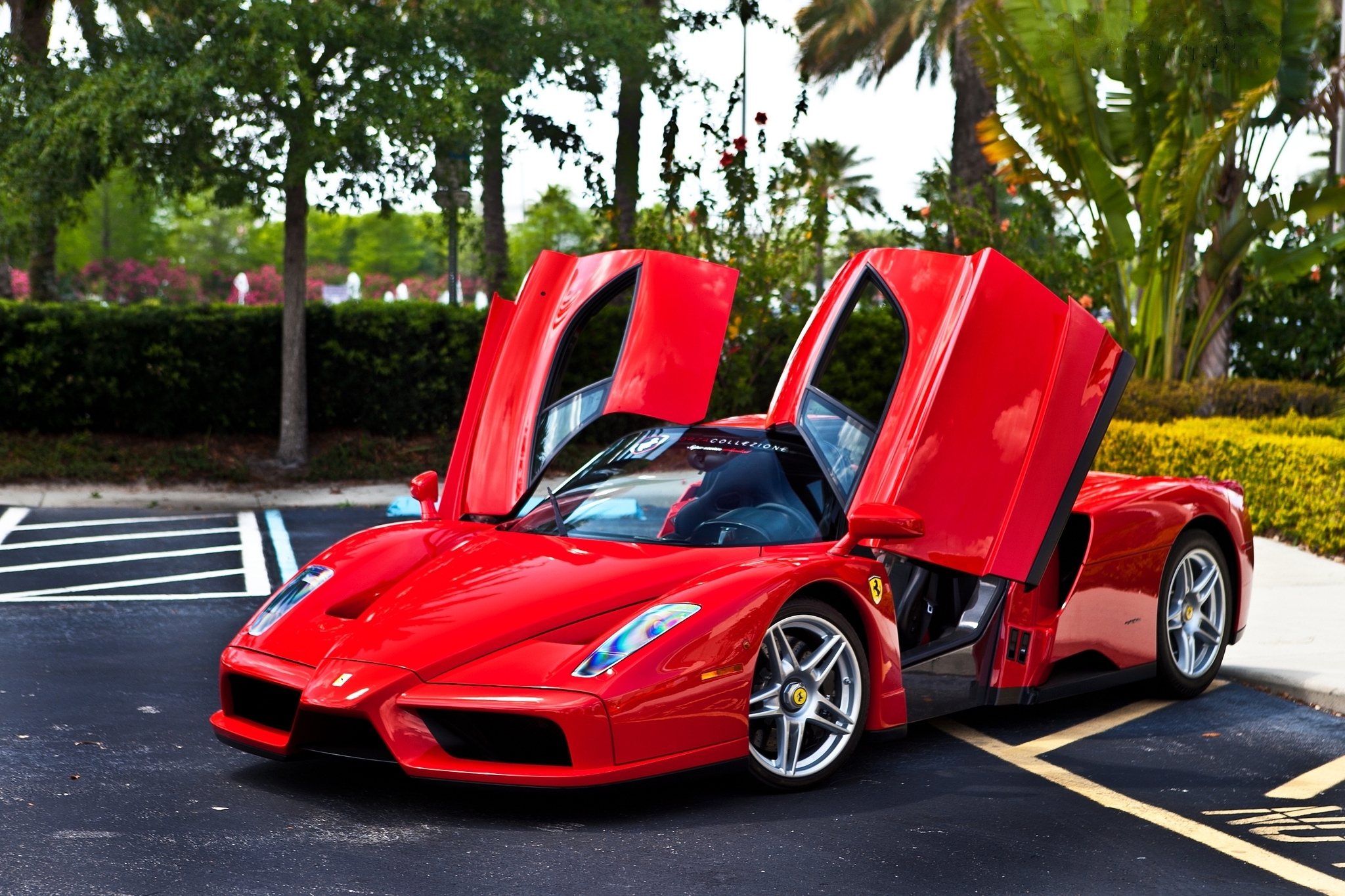 Ferrari Enzo Blue Wallpapers