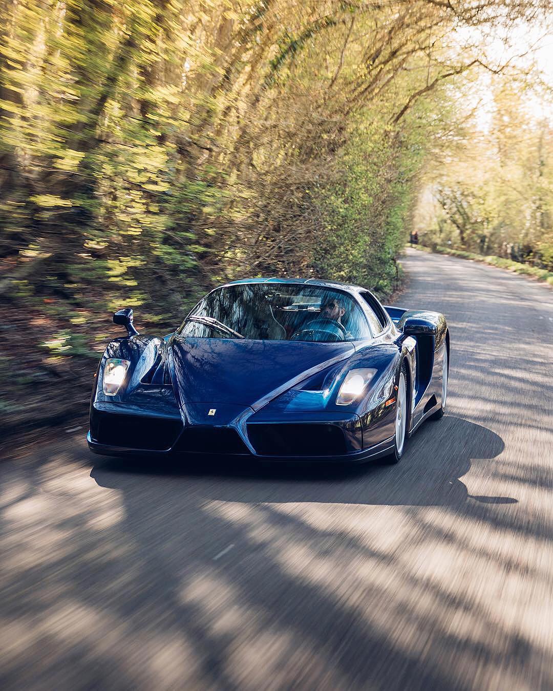 Ferrari Enzo Blue Wallpapers