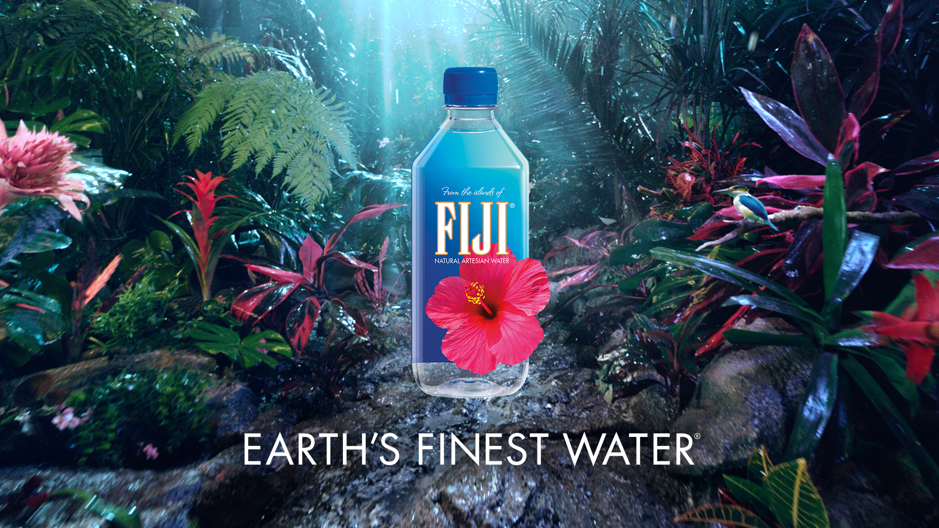 Fiji Water Wallpapers