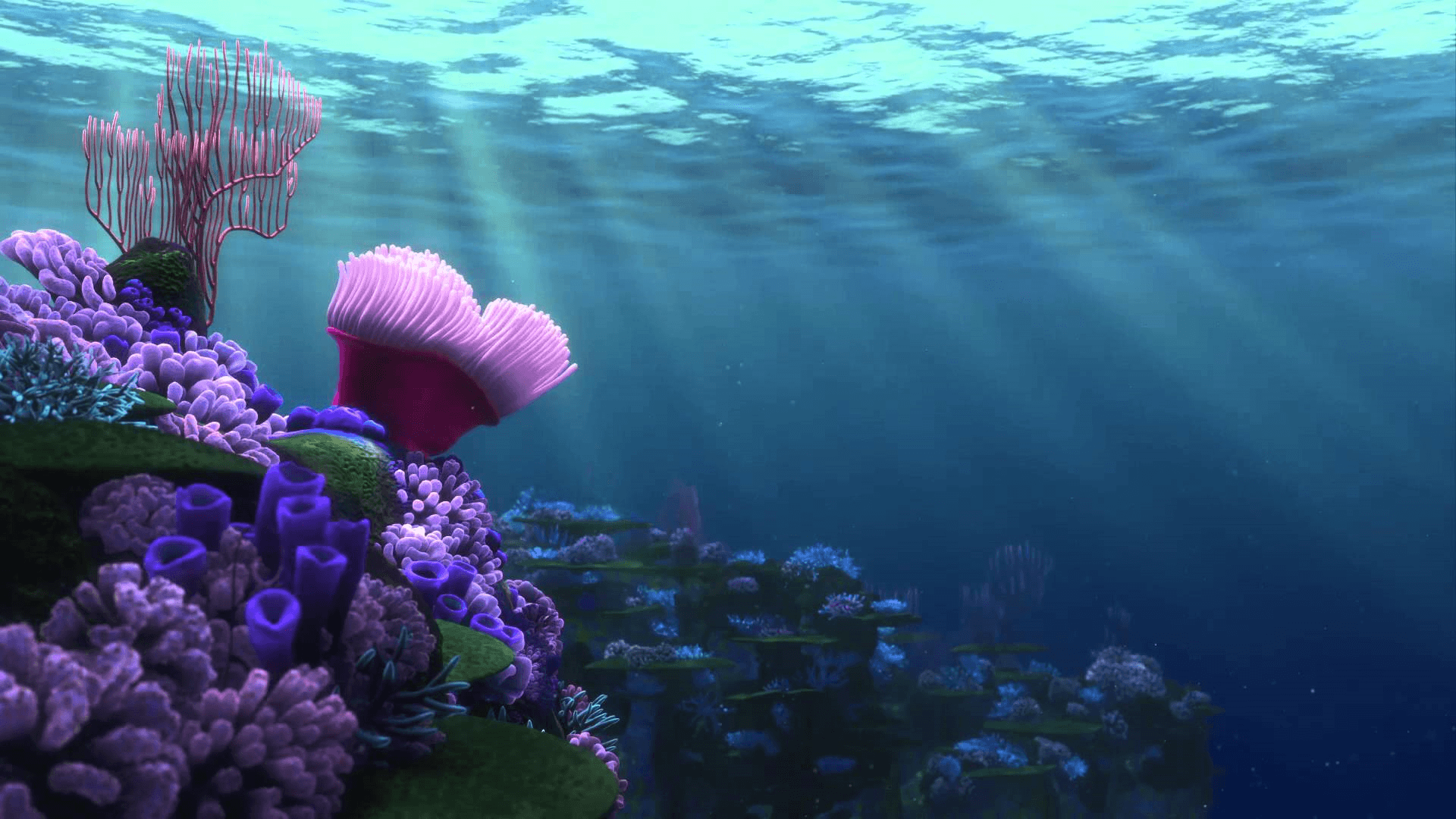 Finding Nemo Iphone Wallpapers