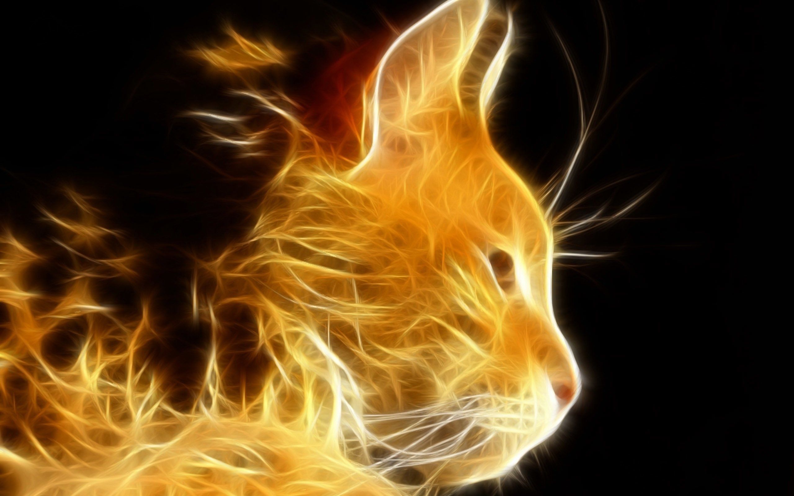 Fire Cat Wallpapers