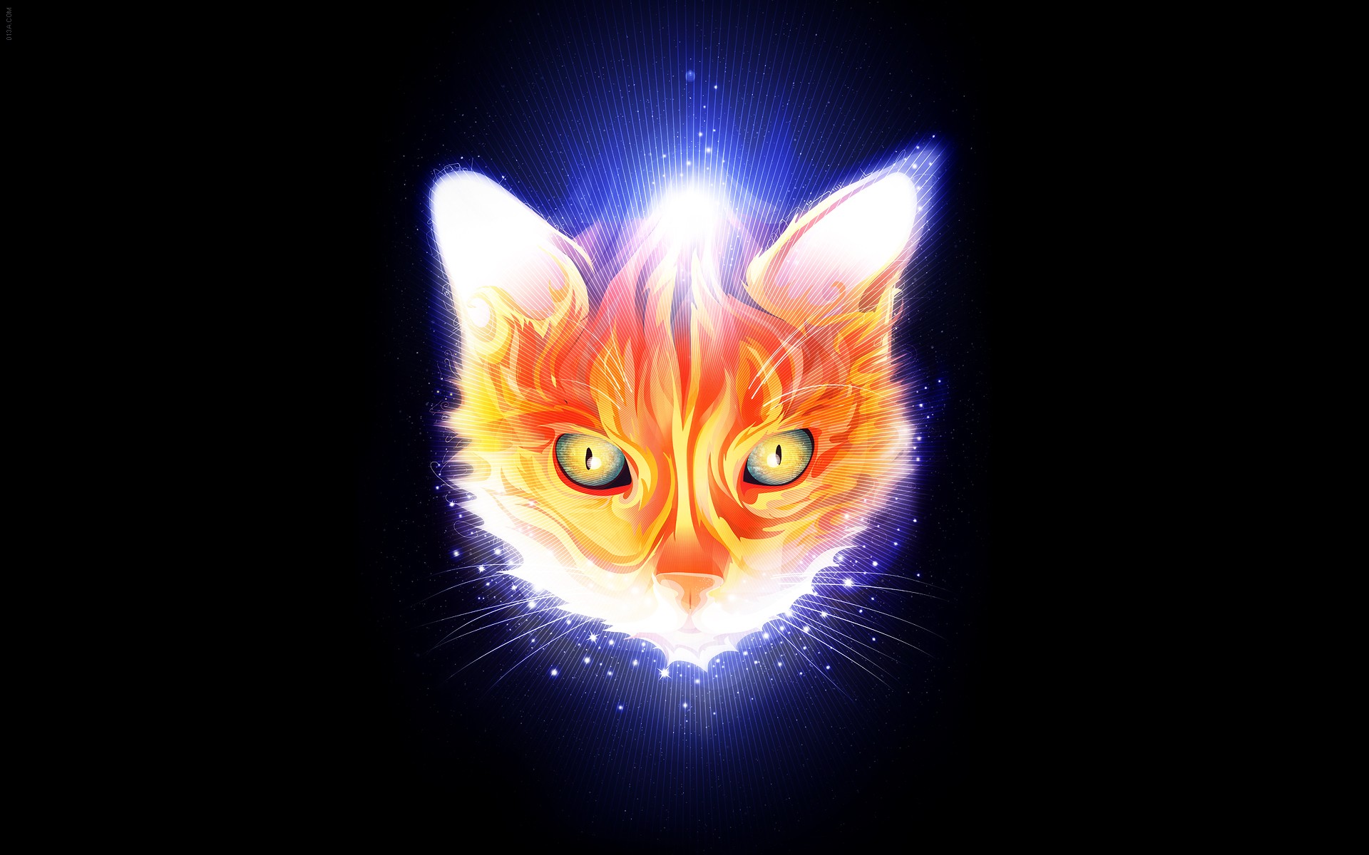 Fire Cat Wallpapers