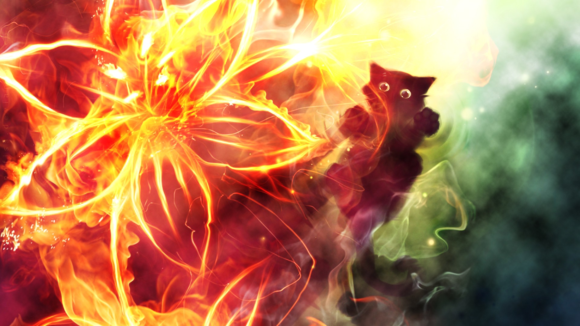 Fire Cat Wallpapers