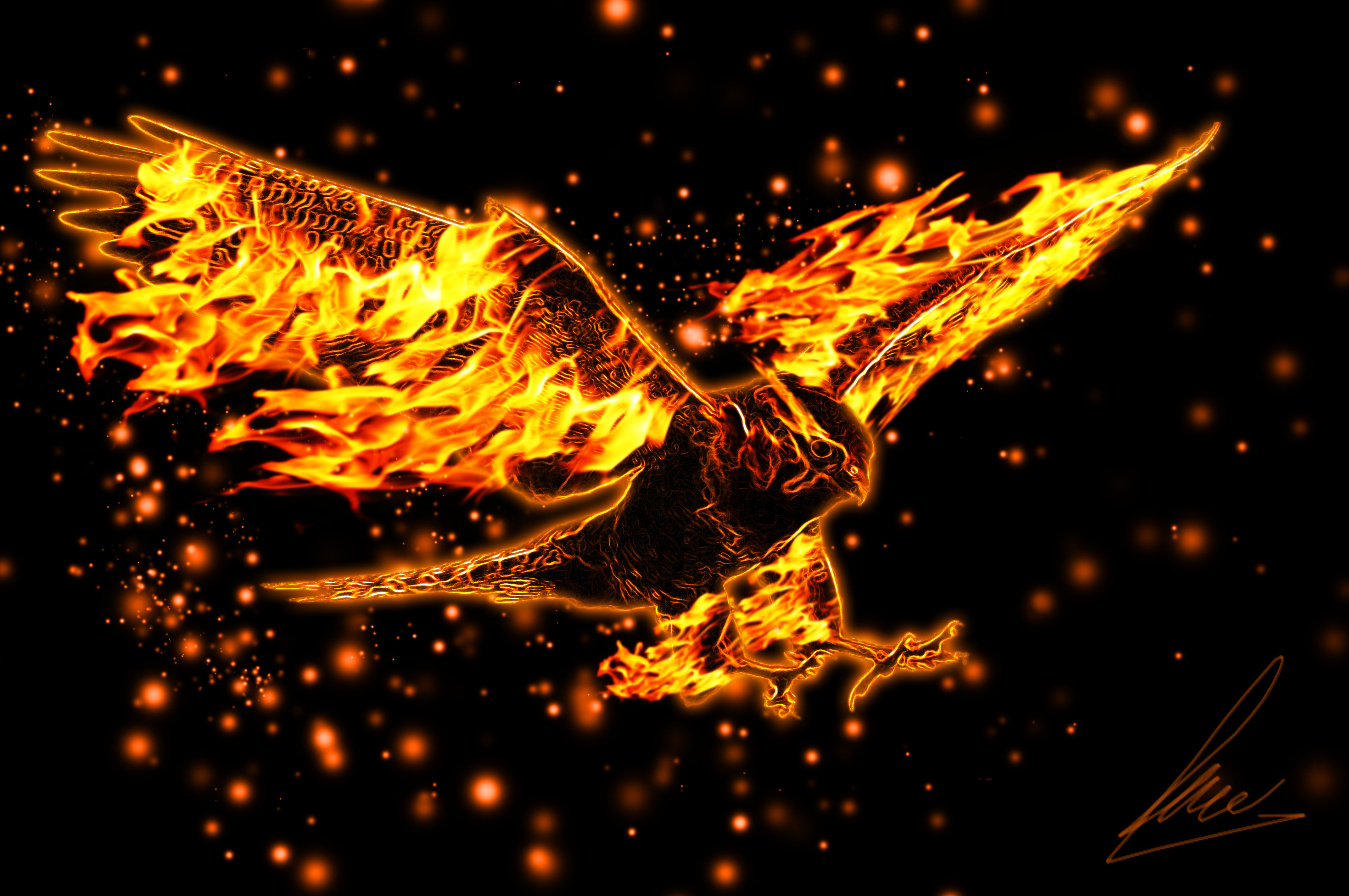 Fire Eagle Images Hd Wallpapers