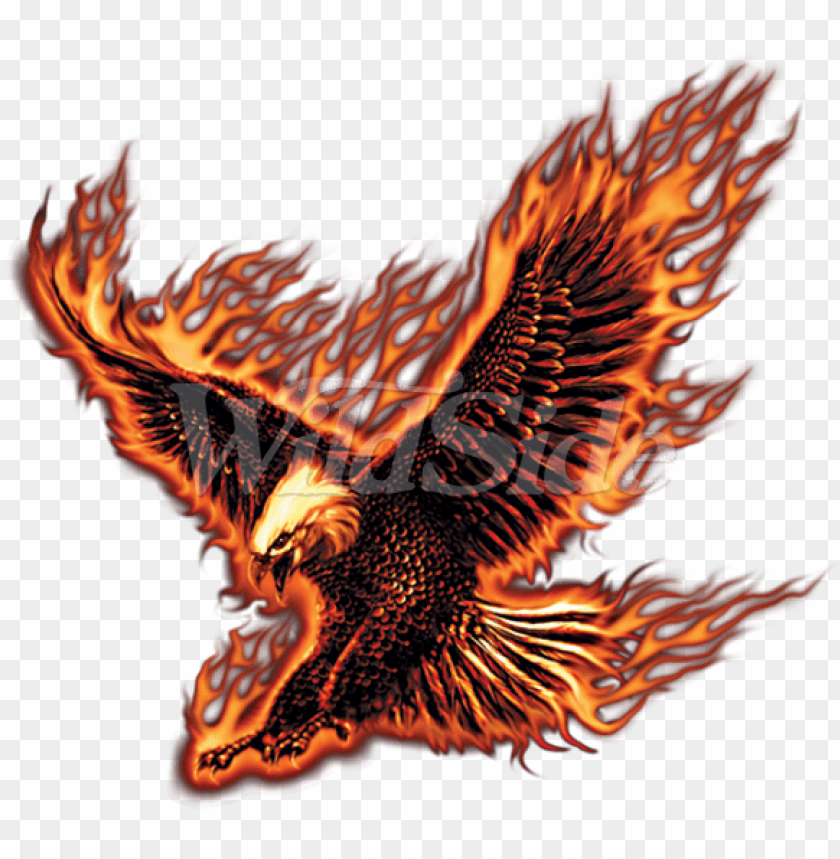 Fire Eagle Images Hd Wallpapers