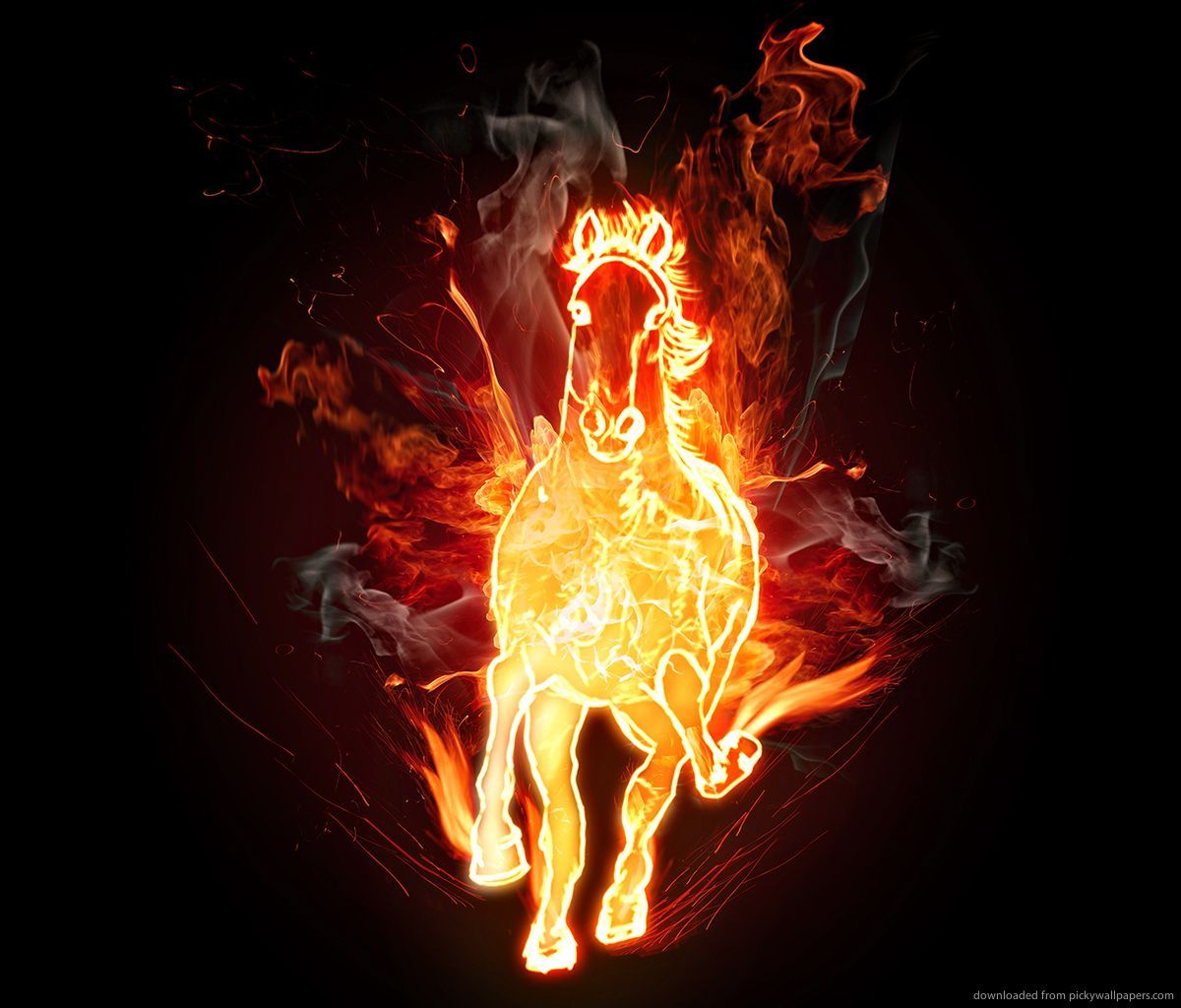 Fire Horse Wallpapers