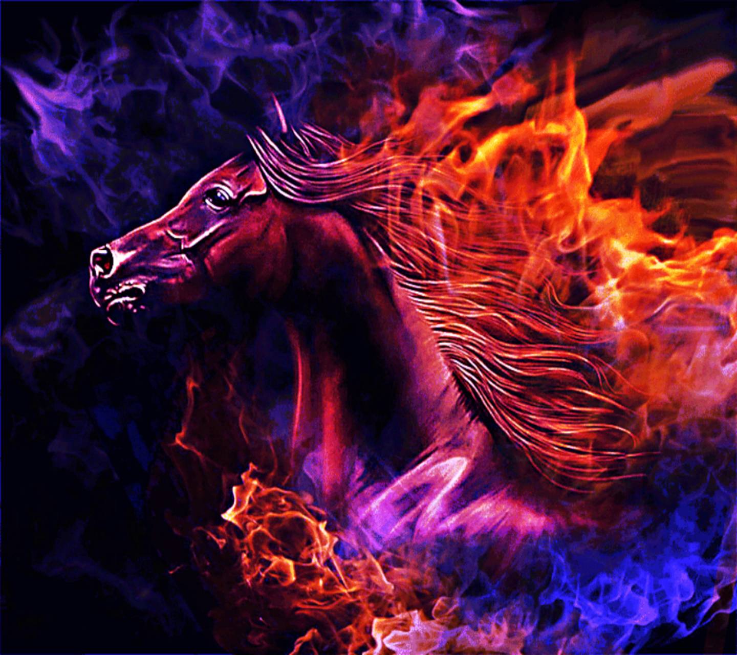 Fire Horse Wallpapers