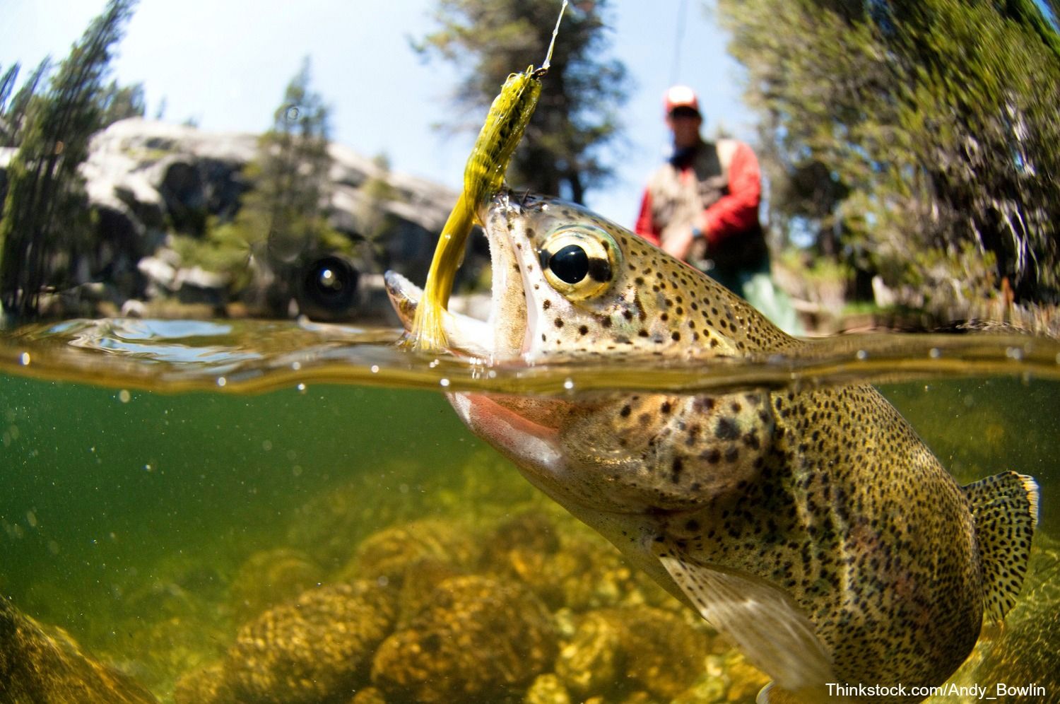 Fishing Desktop Wallpapers