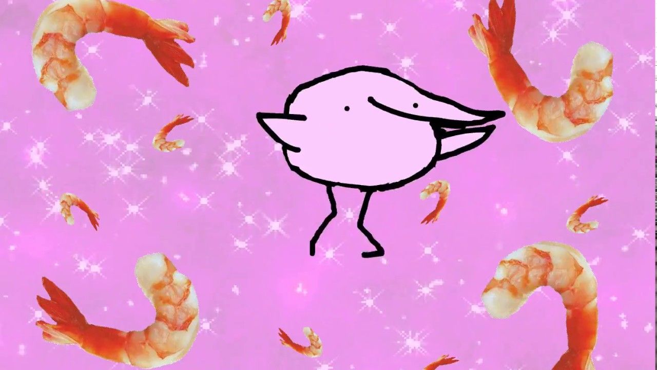 Flamingo Albert Wallpapers