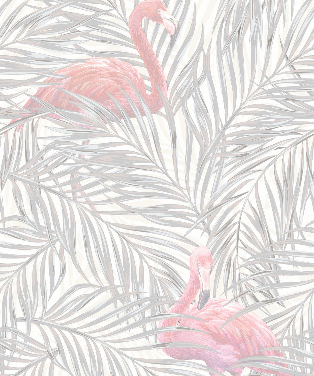 Flamingo Albert Wallpapers