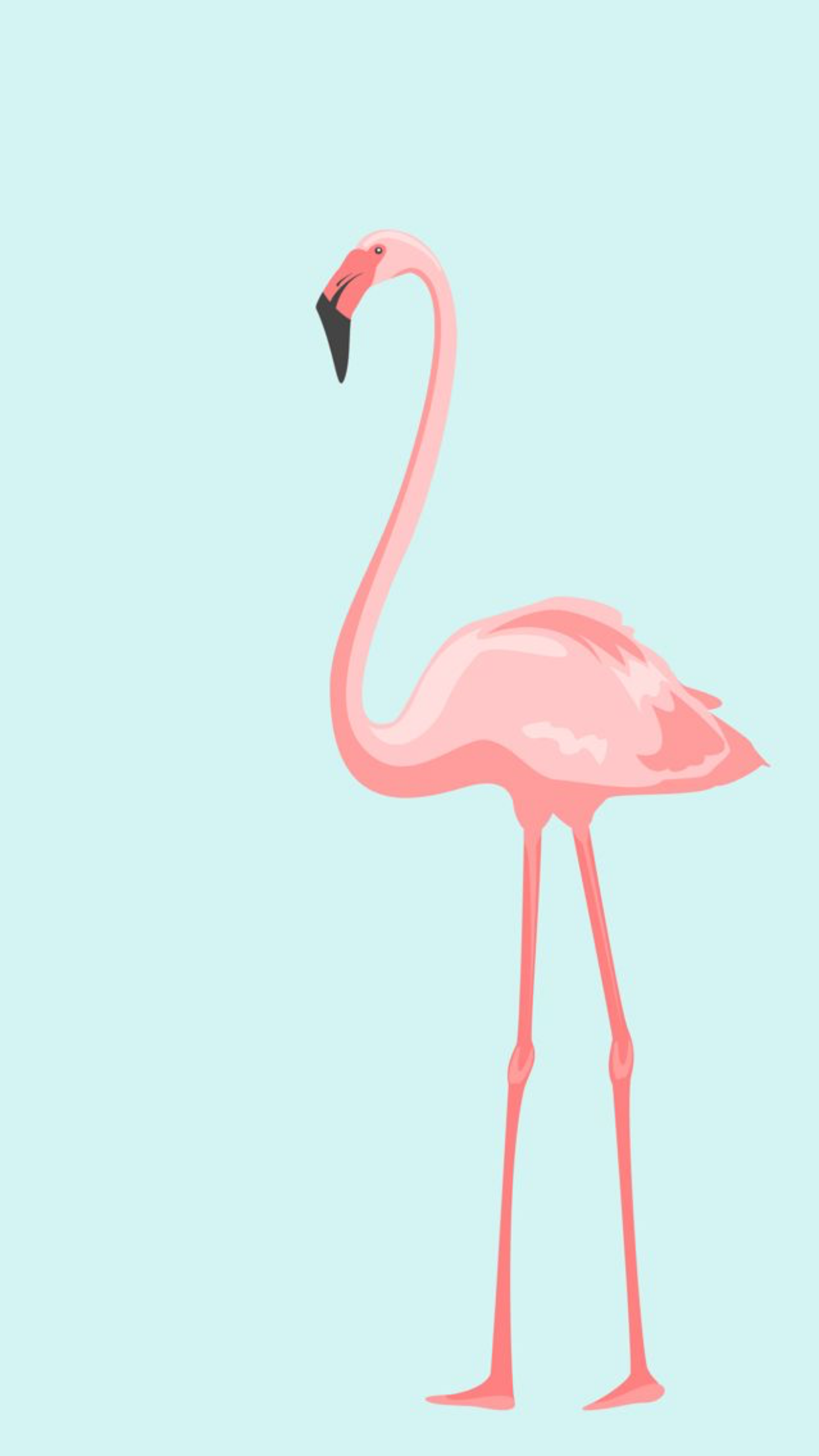 Flamingo Phone Wallpapers