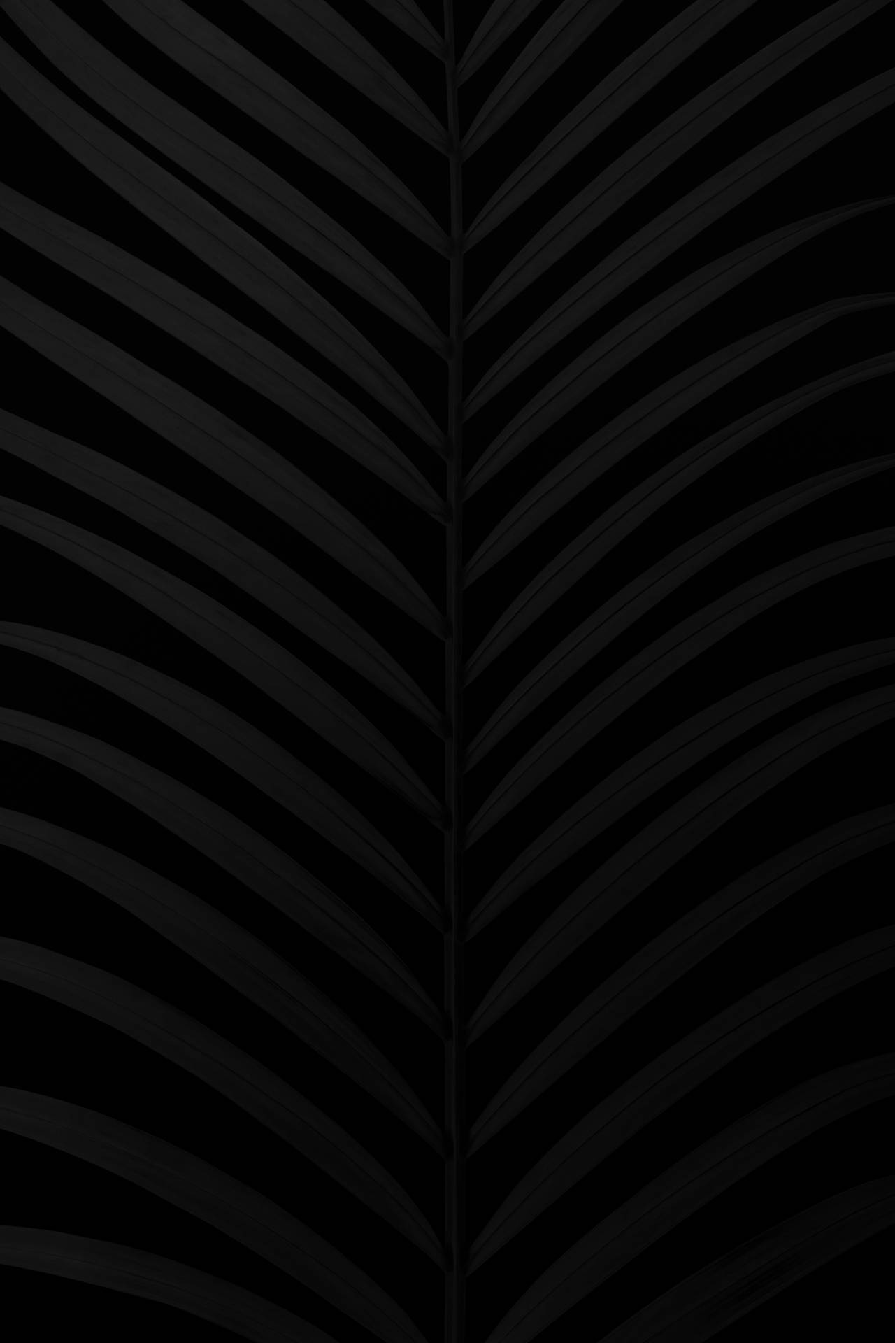 Flat Black Wallpapers