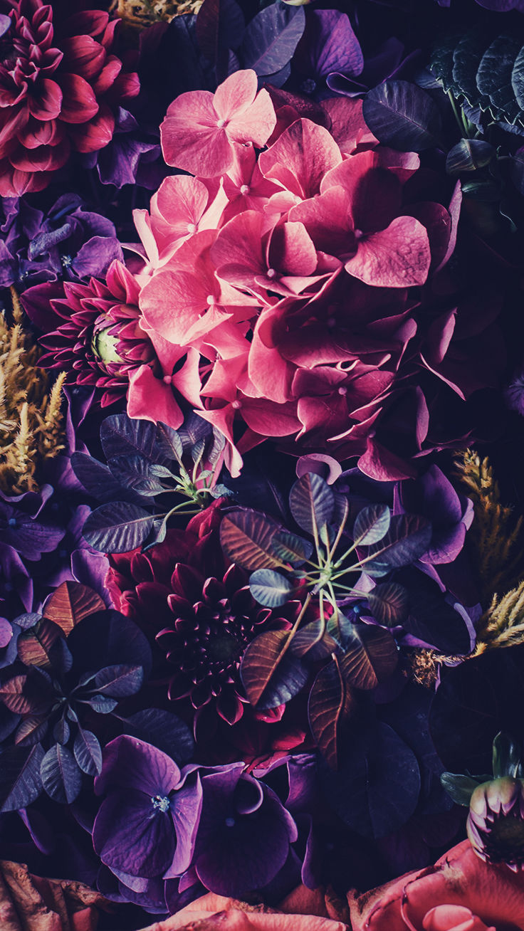 Floral Iphone Wallpapers