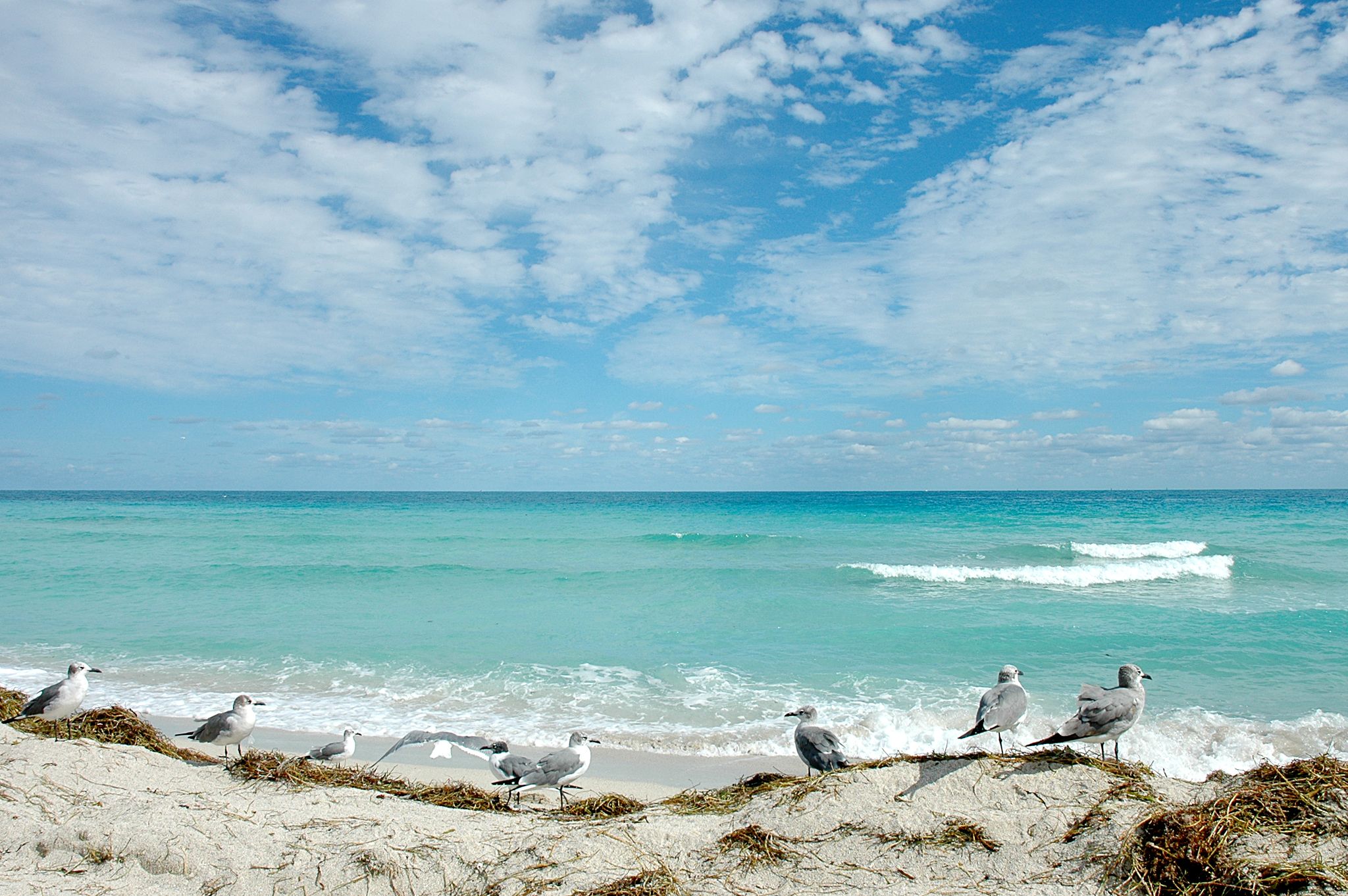 Florida Beaches Wallpapers