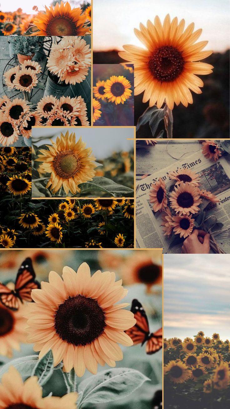 Flower Collage Wallpapers