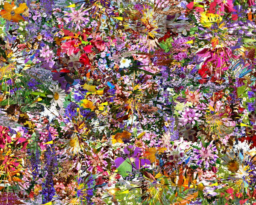 Flower Collage Wallpapers