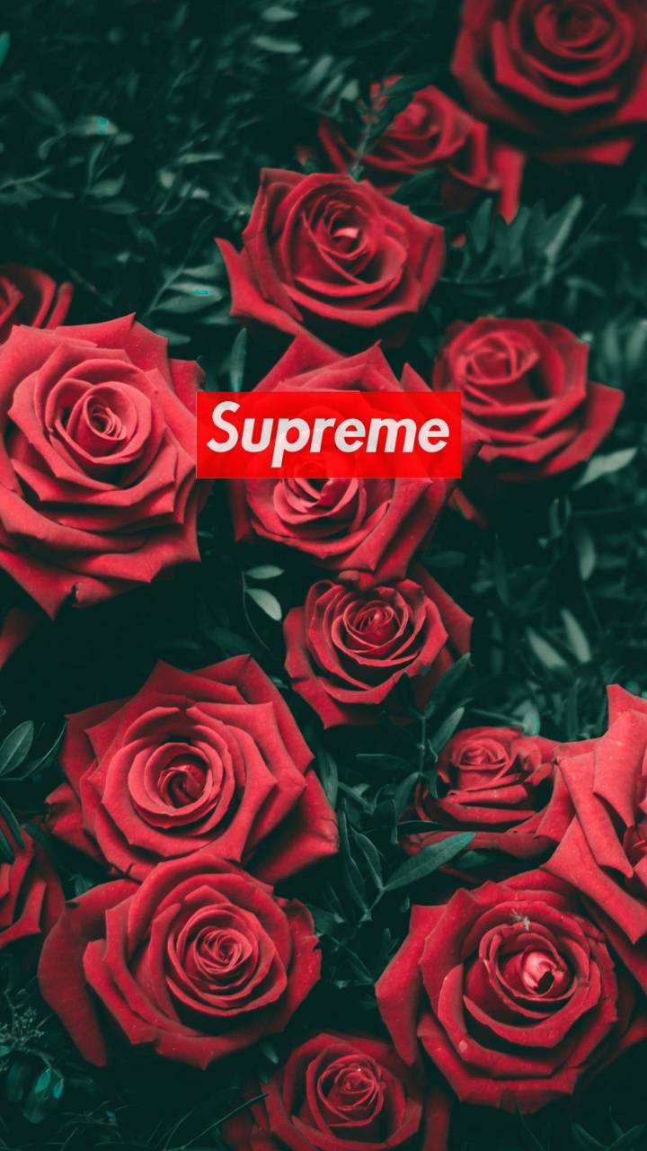 Flower Supreme Wallpapers