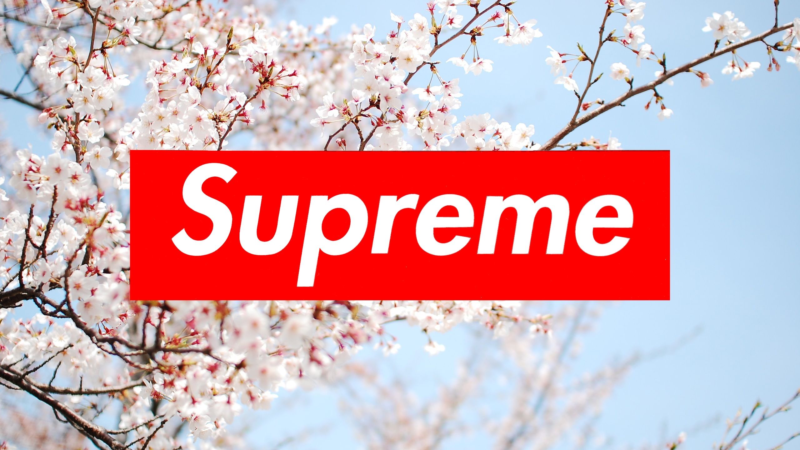 Flower Supreme Wallpapers