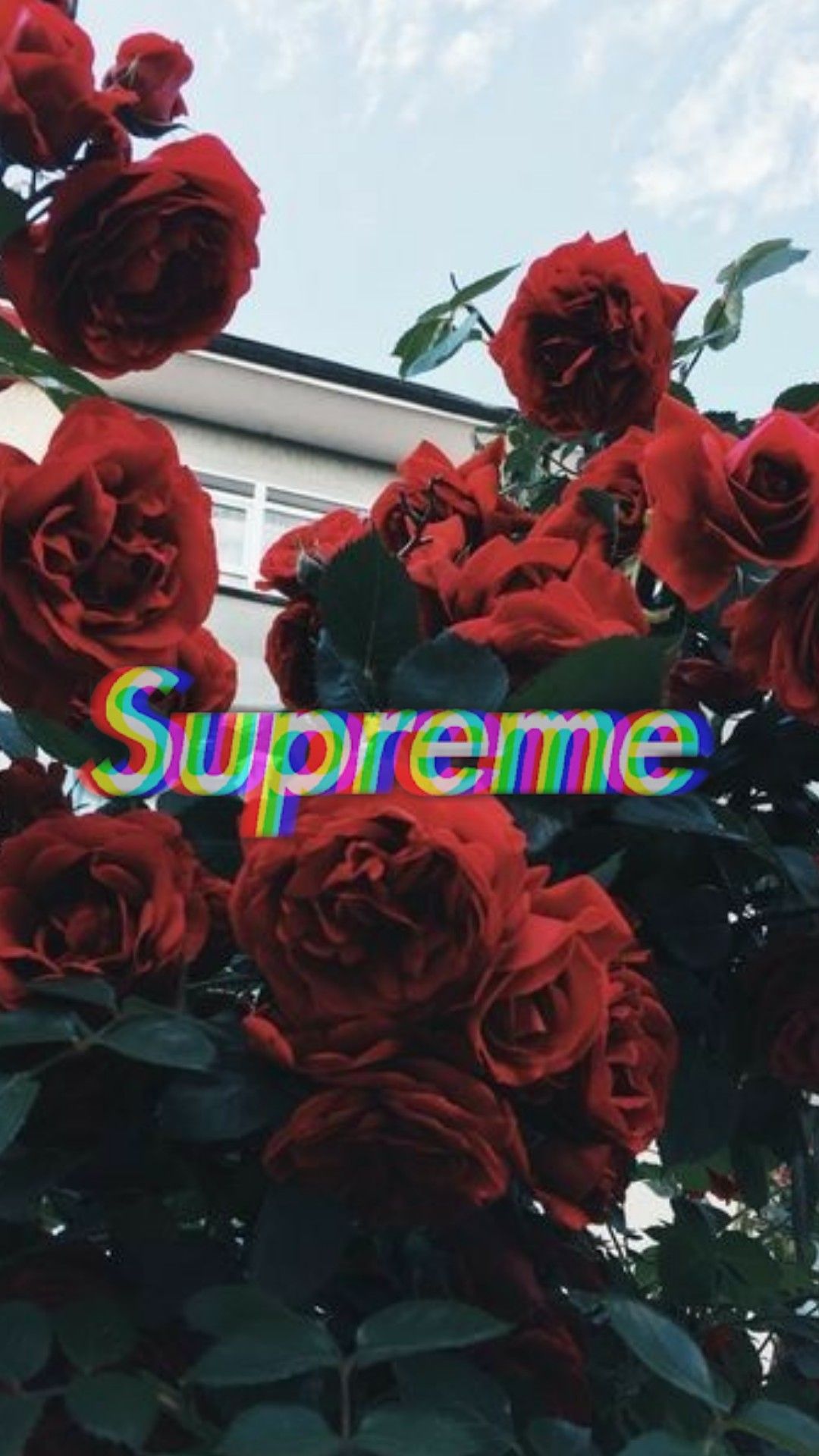 Flower Supreme Wallpapers