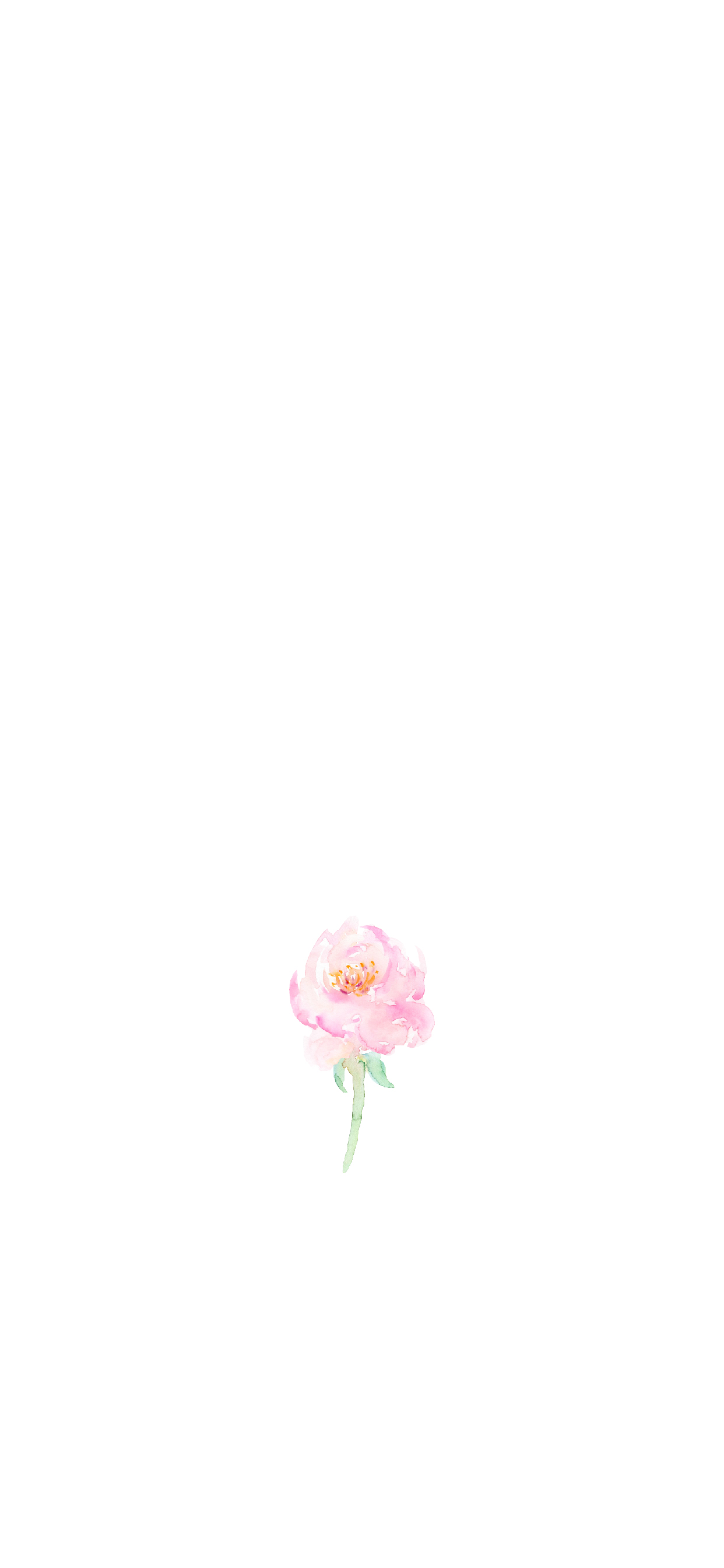 Flower Iphone 5 Wallpapers