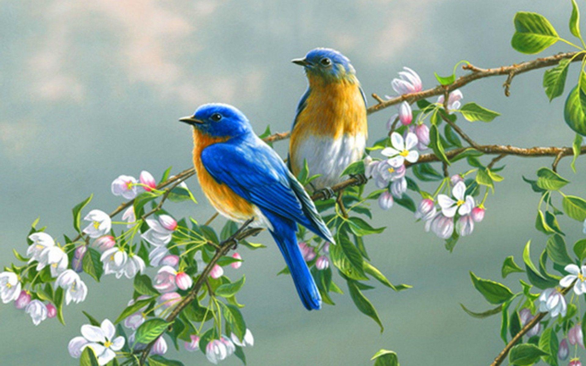 Flowers And Birds Wallpapers