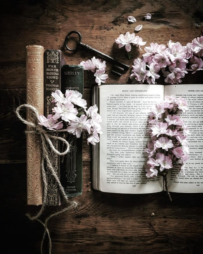 Flowers And Books Wallpapers