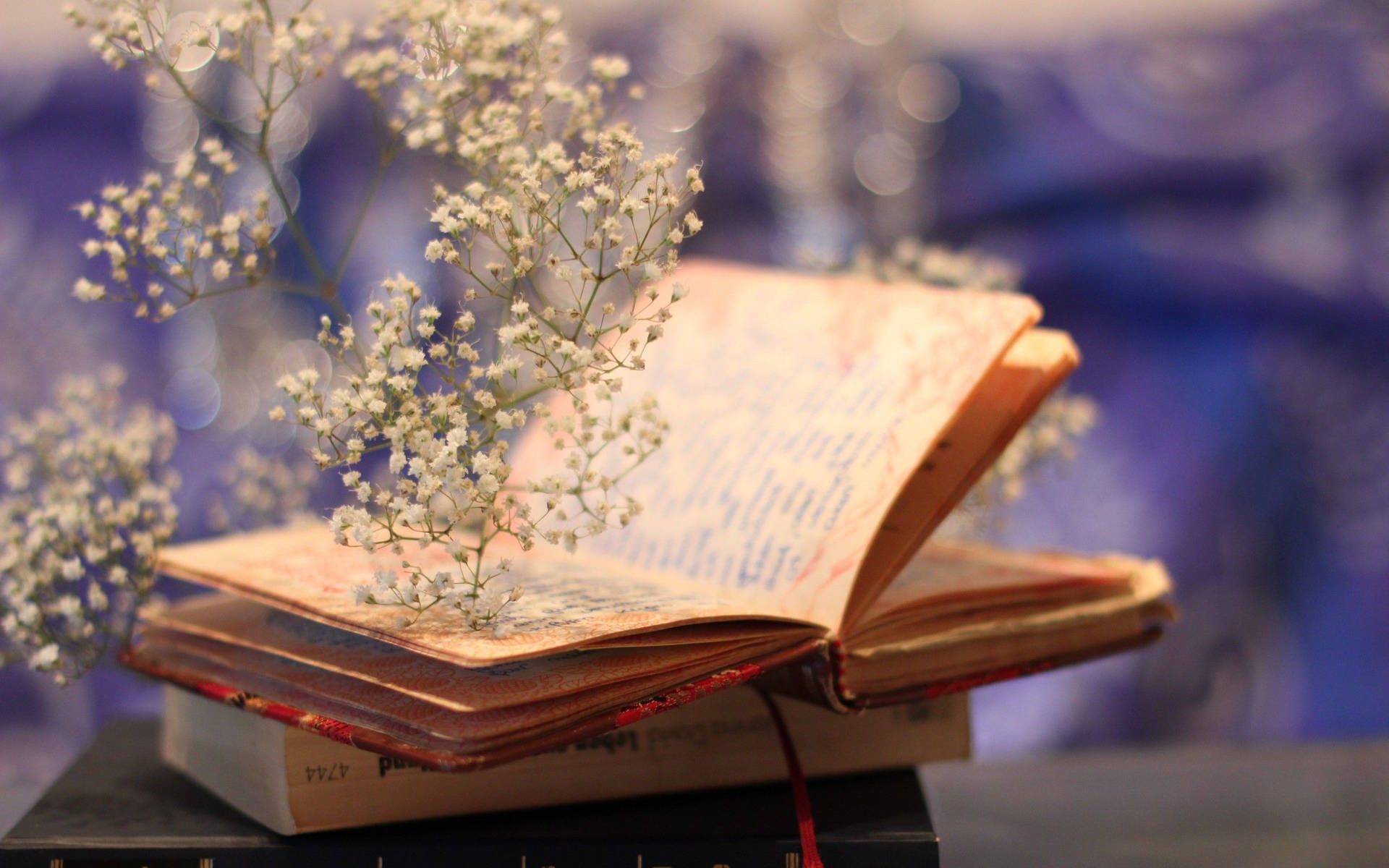 Flowers And Books Wallpapers