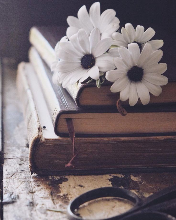 Flowers And Books Wallpapers