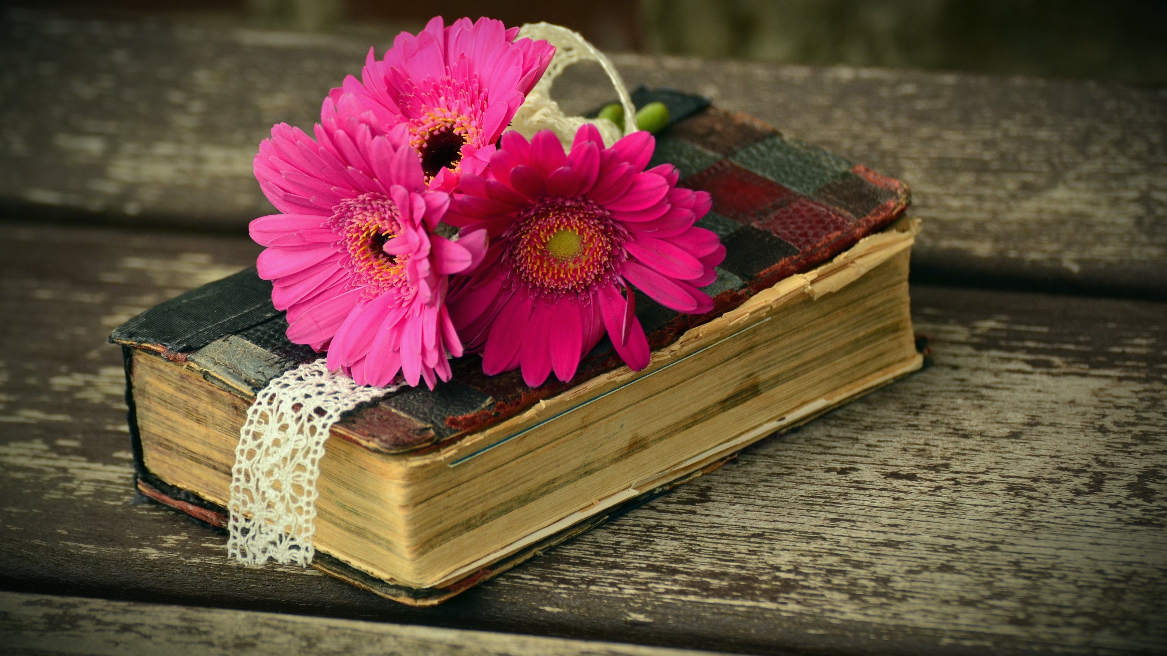 Flowers And Books Wallpapers