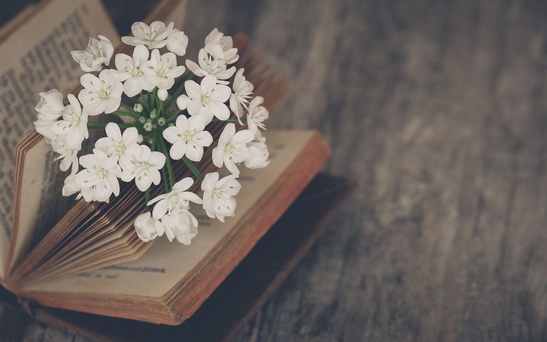 Flowers And Books Wallpapers