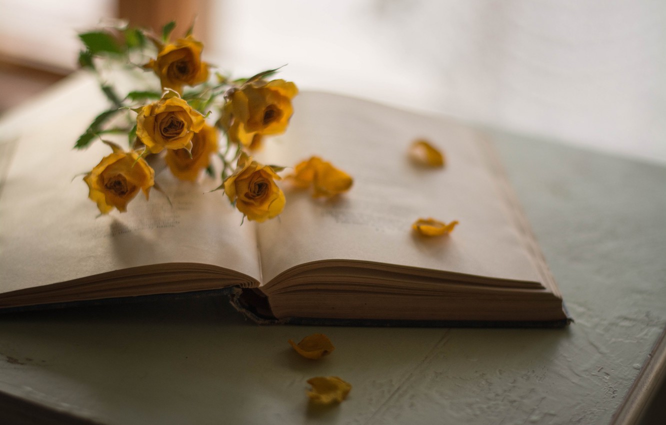 Flowers And Books Wallpapers