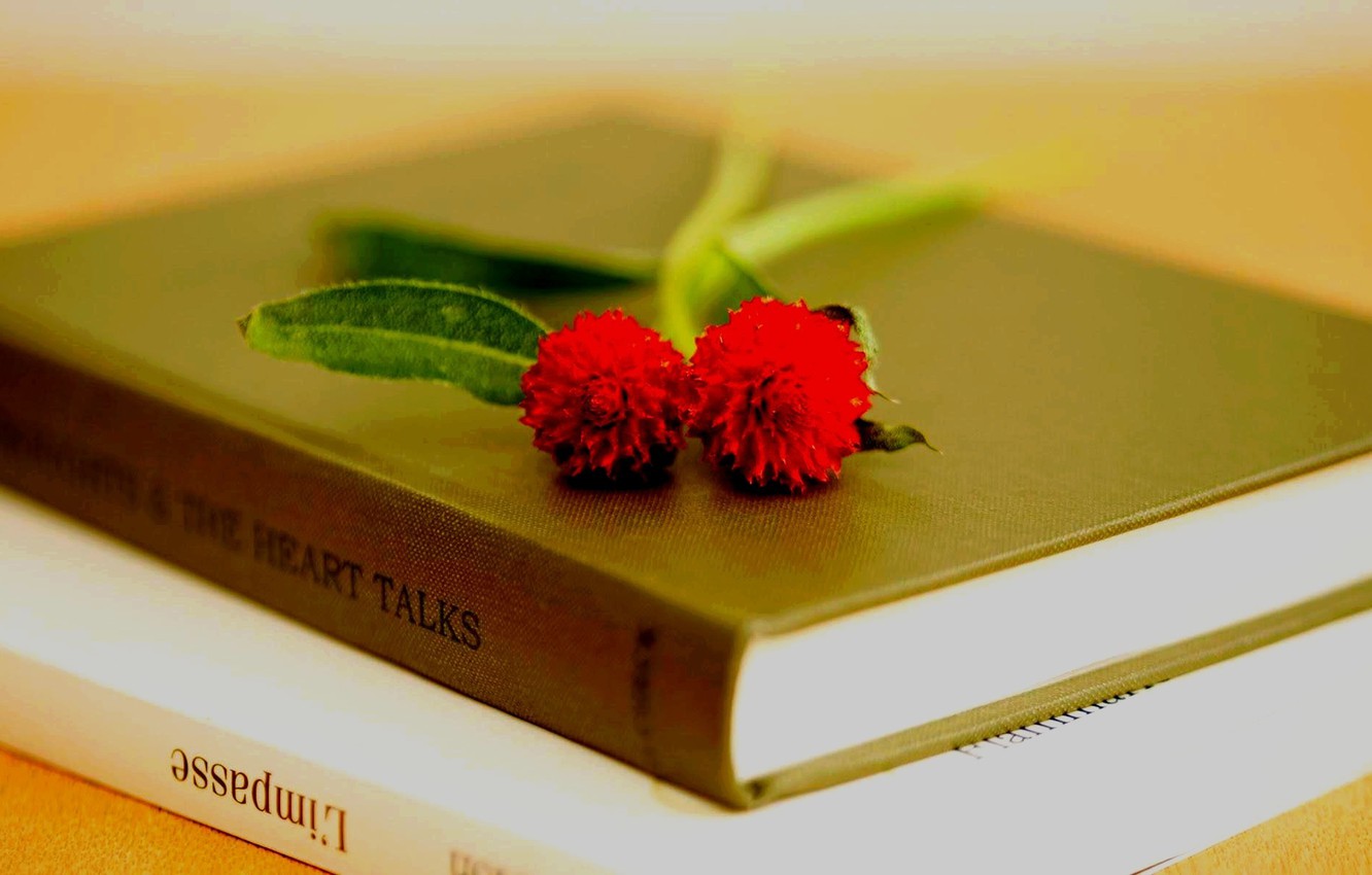 Flowers And Books Wallpapers