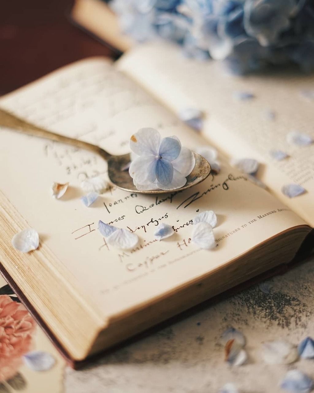 Flowers And Books Wallpapers