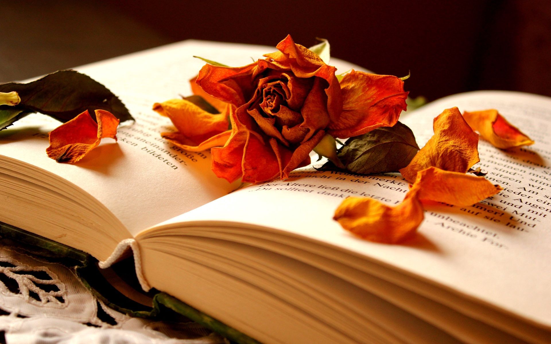 Flowers And Books Wallpapers