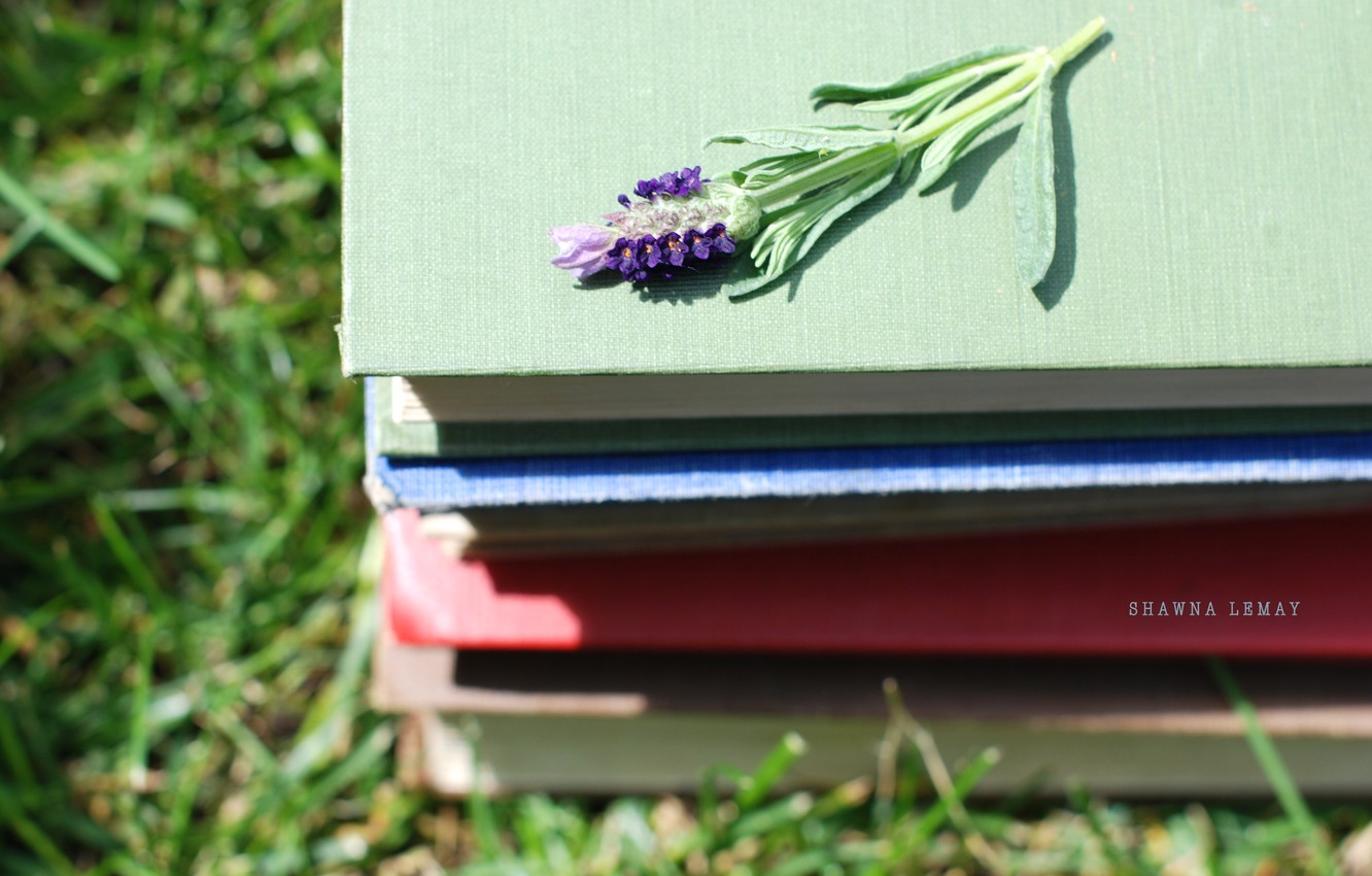 Flowers And Books Wallpapers